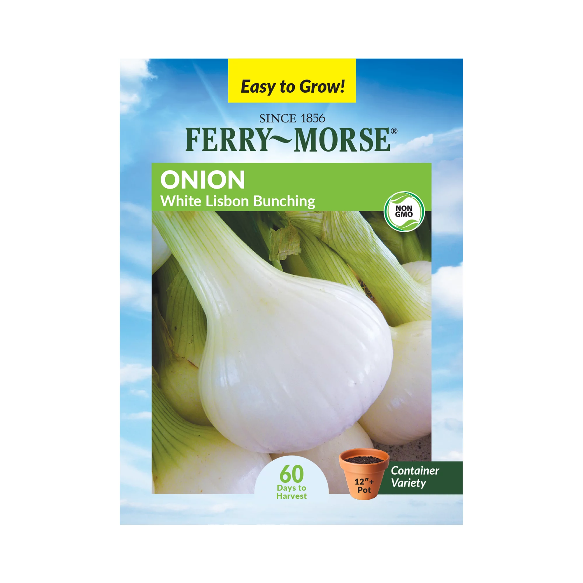 Ferry-Morse 740MG Onion White Lisbon Bunching Vegetable Plant Seeds Full Sun