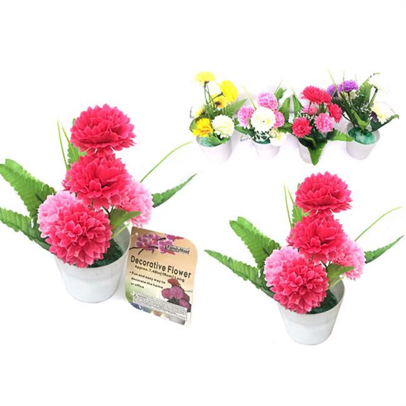Family Maid 27491 6 Head Carnations in Pot - Pack of 72