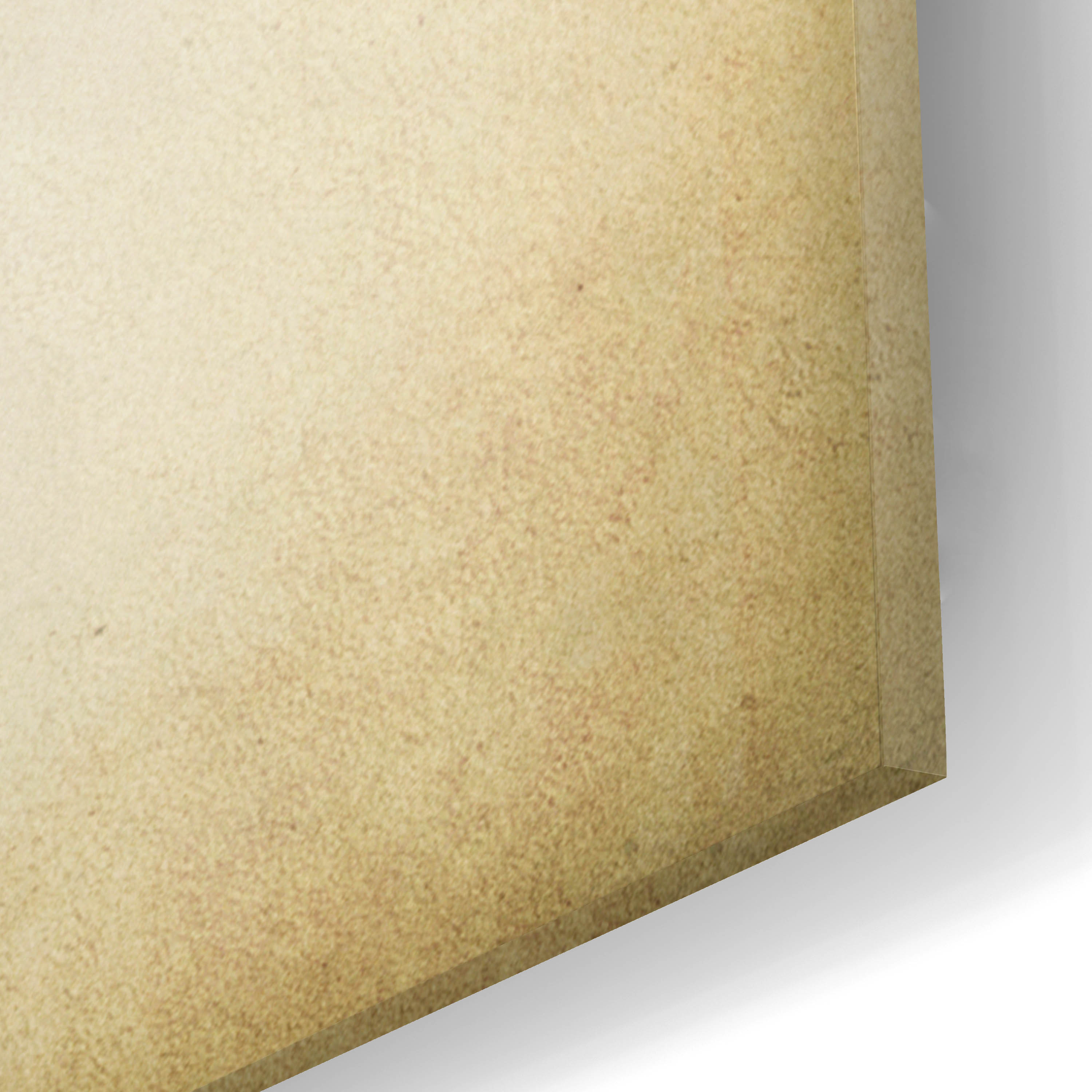 Epic Art 'Globe Gilia' by Jessica Rogers, Acrylic Glass Wall Art, 12