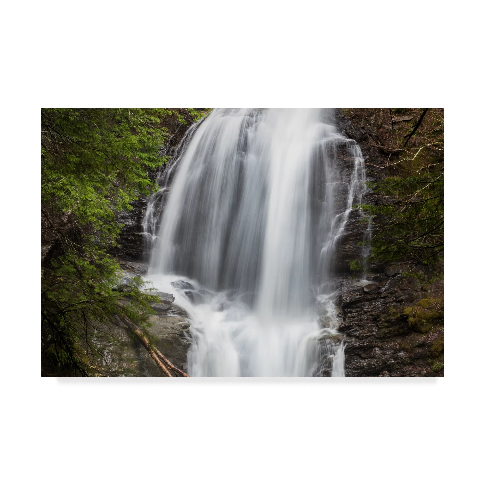 Trademark Fine Art 'Tranquility Waters' Canvas Art by Brenda Petrella Photography Llc