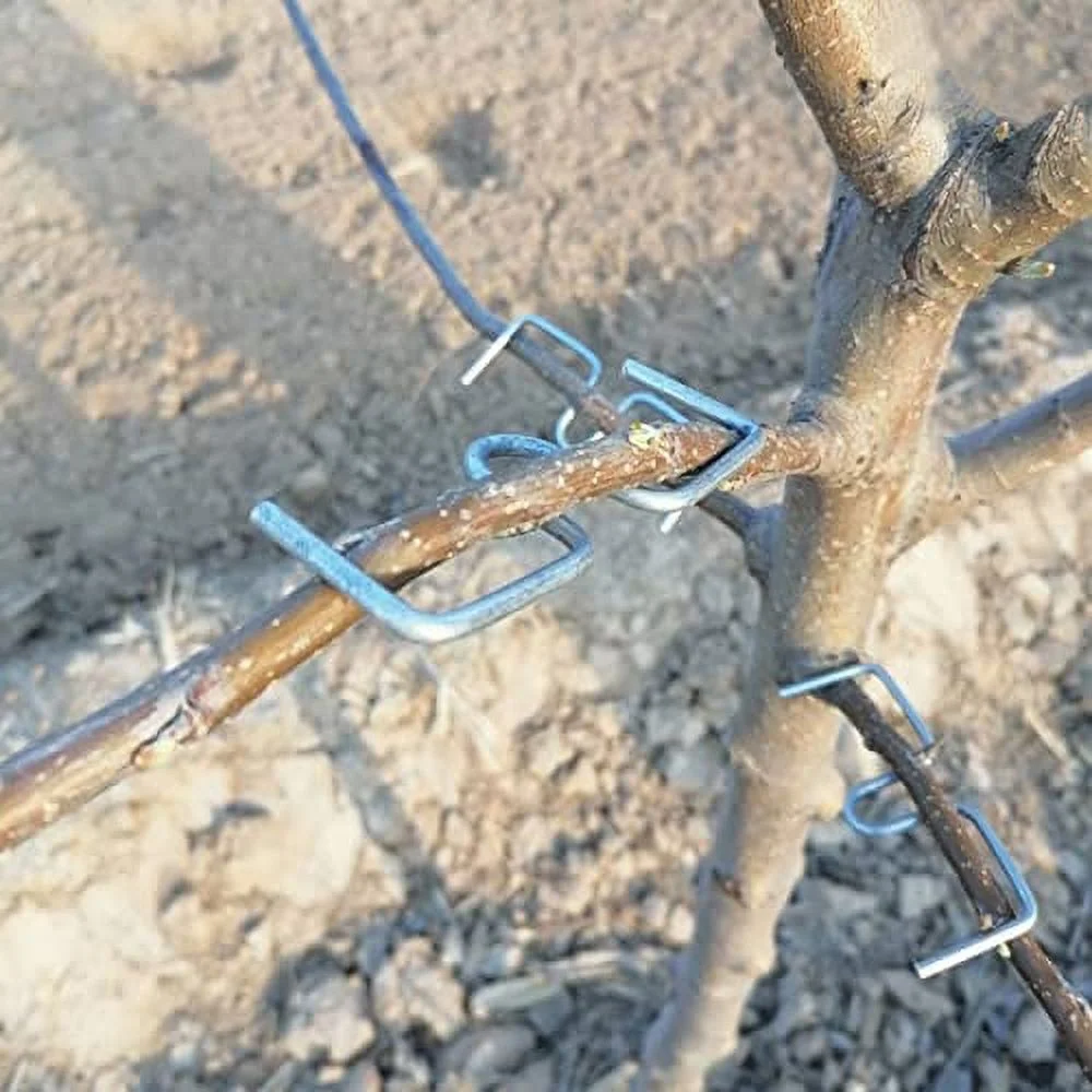 Fruit Tree Branches Fruit Tree Branch Spreader Branch Spreader Puller for Shaping Fruit Tree Branches Branch Bending Tool to Improve Yield 12PCS (M3.1IN)