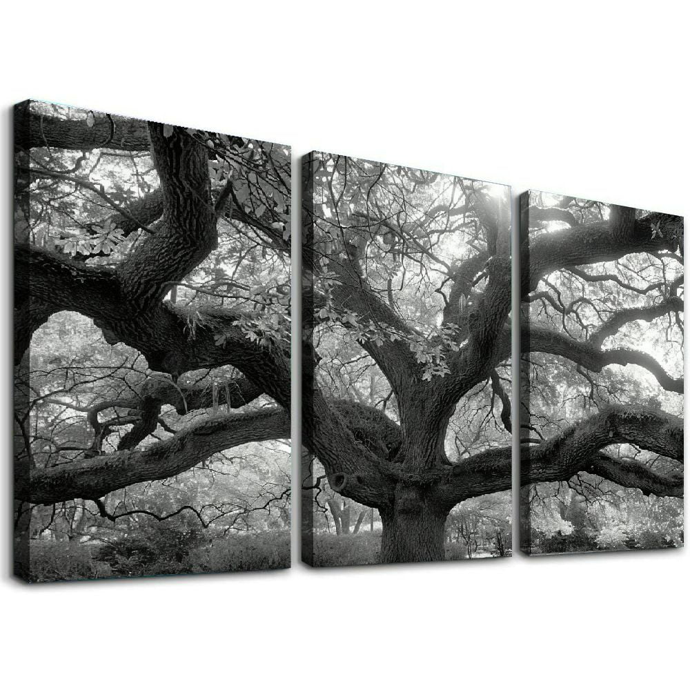 Ullo0ord Angel Oak Tree Nature Poster Canvas Pictures Print Wall Art for Living Room Bedroom Decor