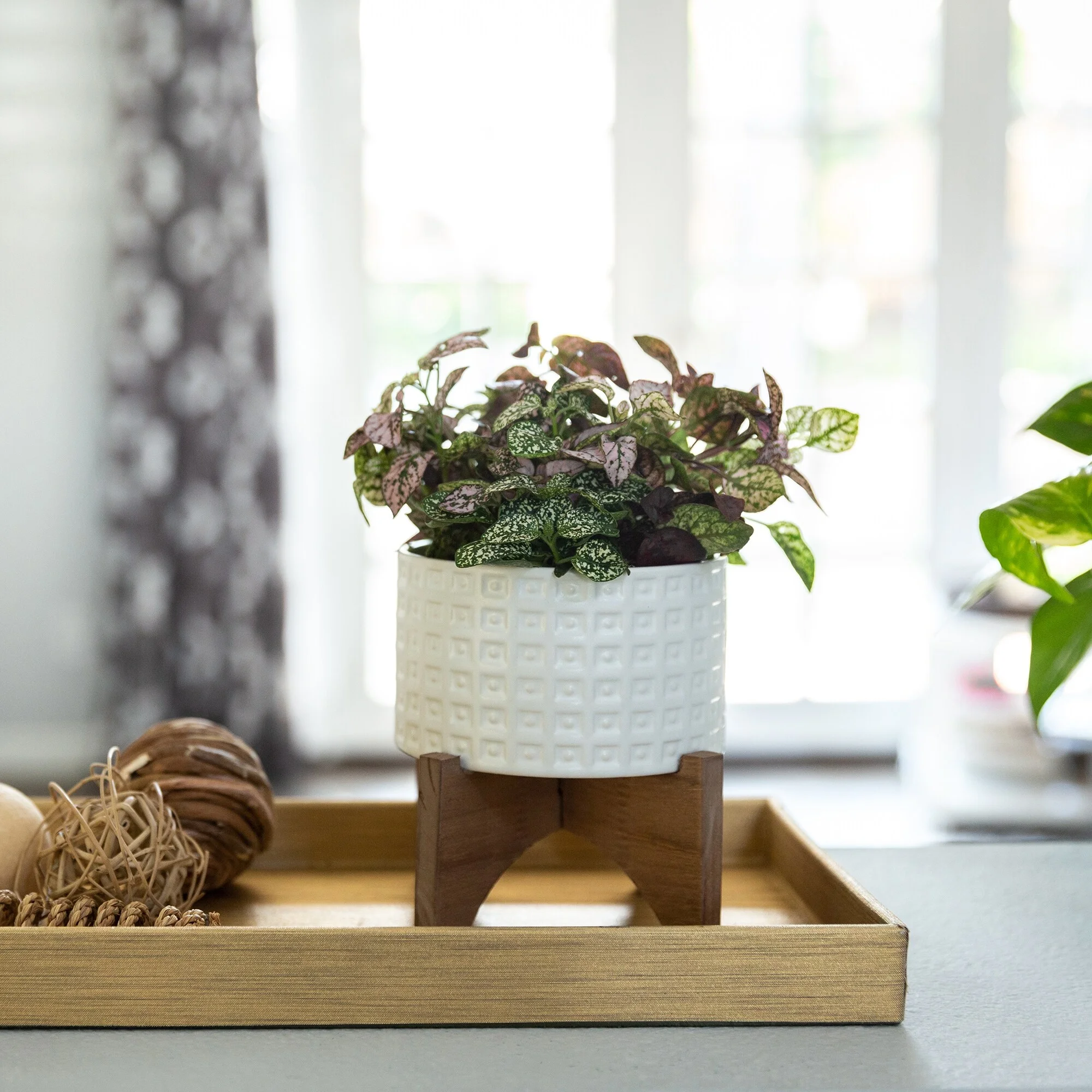 Flora Bunda Inc Mid-Century 4.75