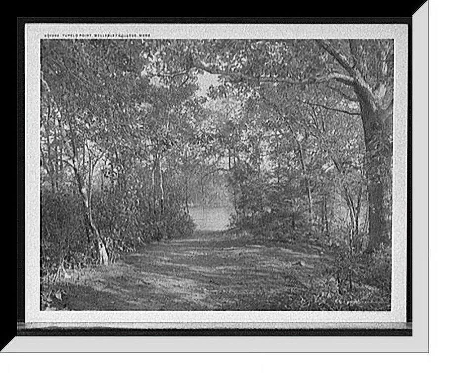 Historic Framed Print, Tupelo Point, Wellesley College, Mass., 17-7/8