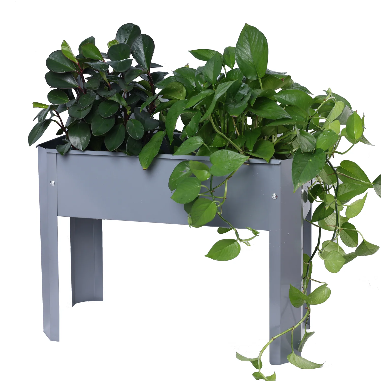 Spacious and versatile elevated metal outdoor flowerpot box  perfect for backyard and terrace gardening  ideal for growing a variety of vegetables and flowers.