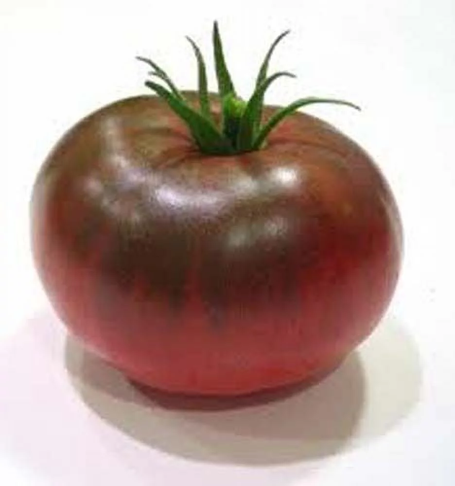 Tomato Black Prince Great Garden Heirloom Vegetable by Seed Kingdom 1 Oz Seeds