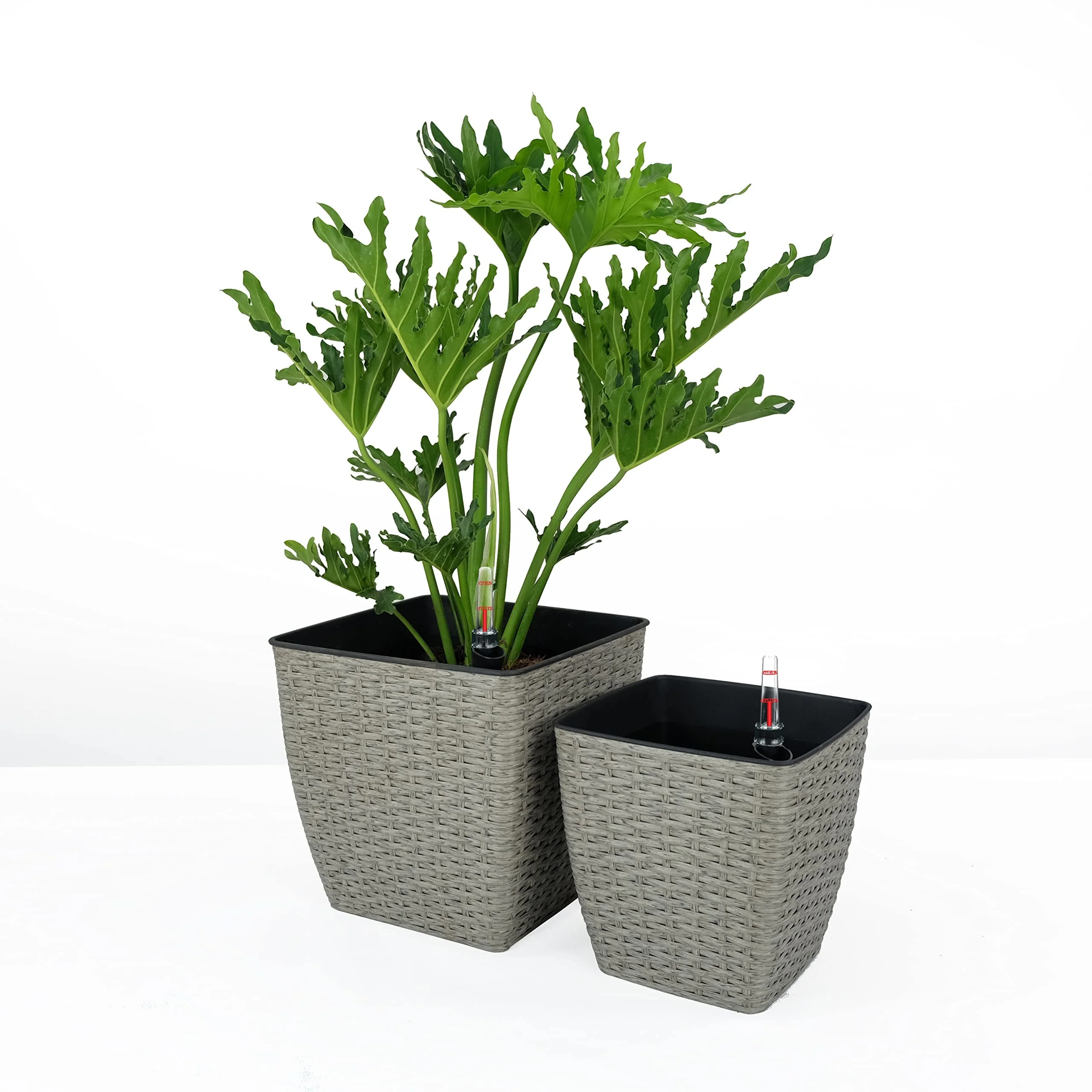 Eco-Friendly Self-Watering Planters - 2 Pack - 2-Pack - 6.0 - Elevate your plants with style and ease!