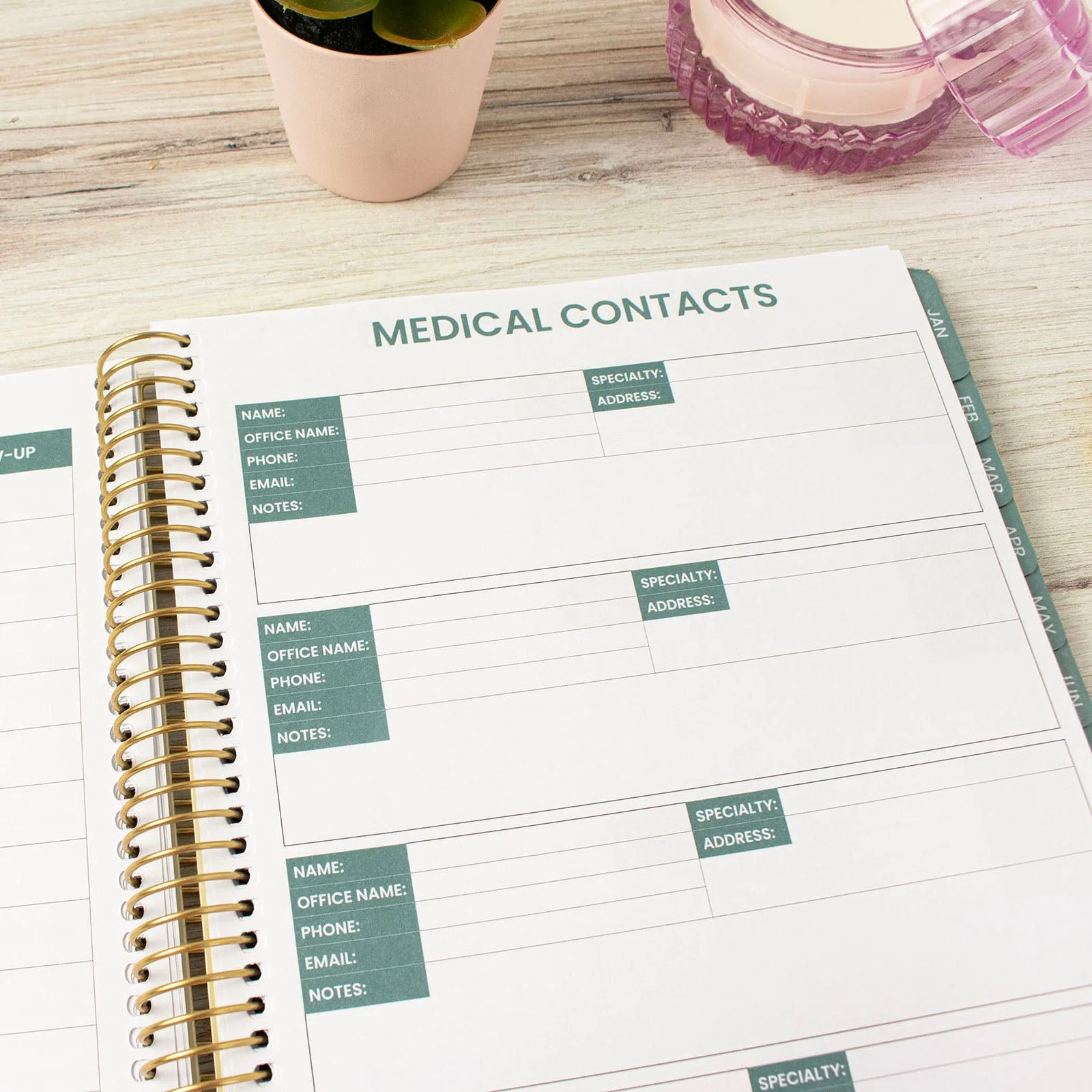 bloom daily planners Chronic Illness Planner, You Are Stronger Than You Think