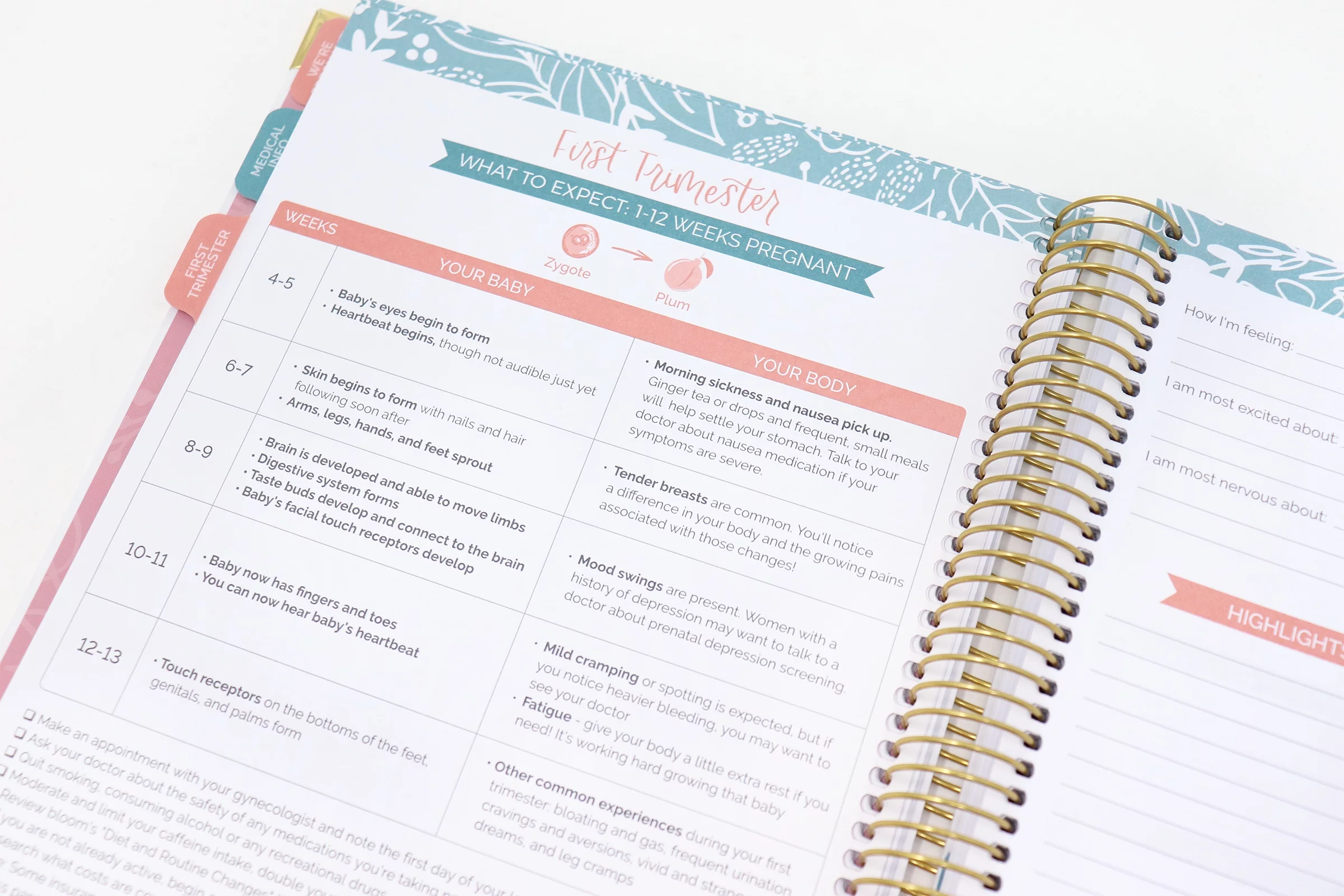 bloom daily planners Pregnancy & Baby's First Year Planner & Calendar, 9