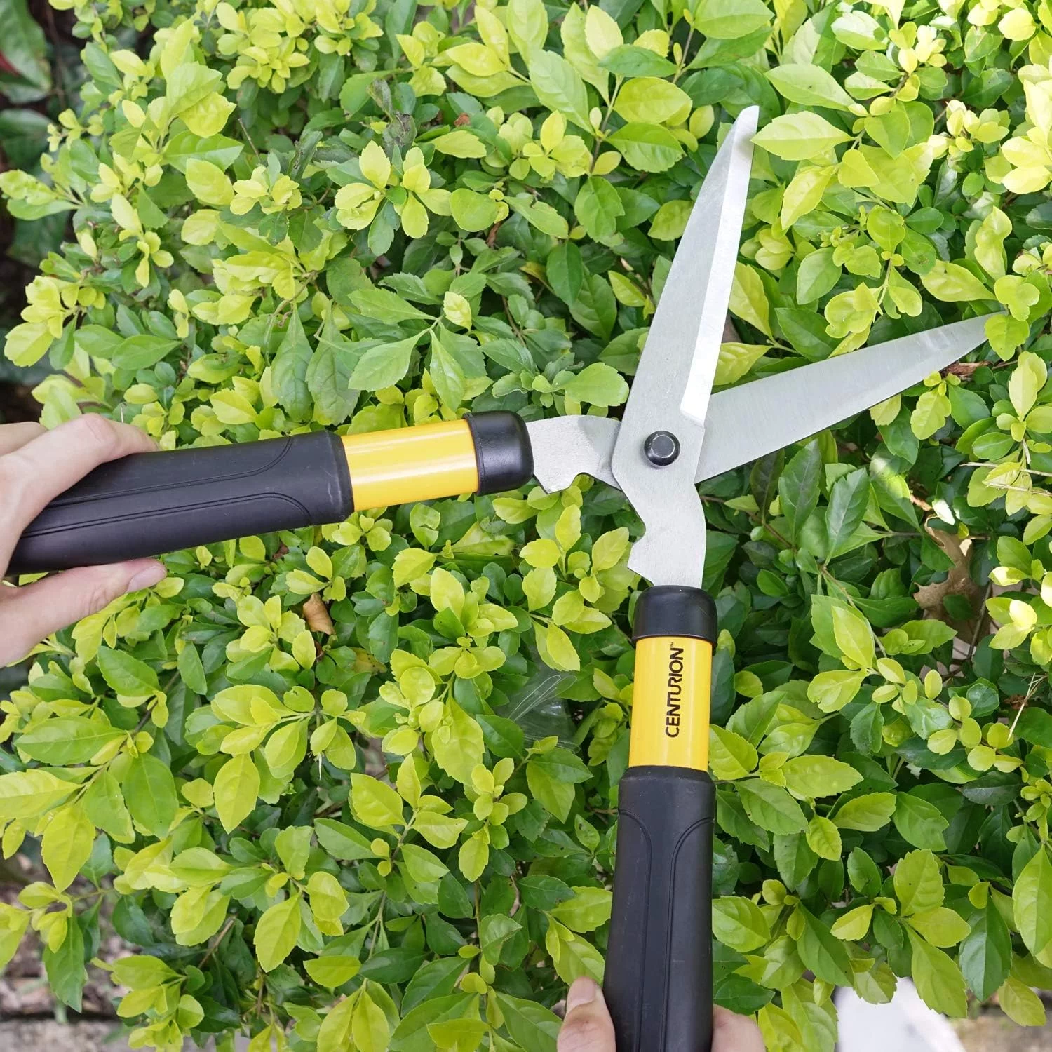 592 2-Pc Ladies Mini Lightweight Cutting Set With 16½- Inch Bypass Lopper & 6 Inches Blade Hedge Shear