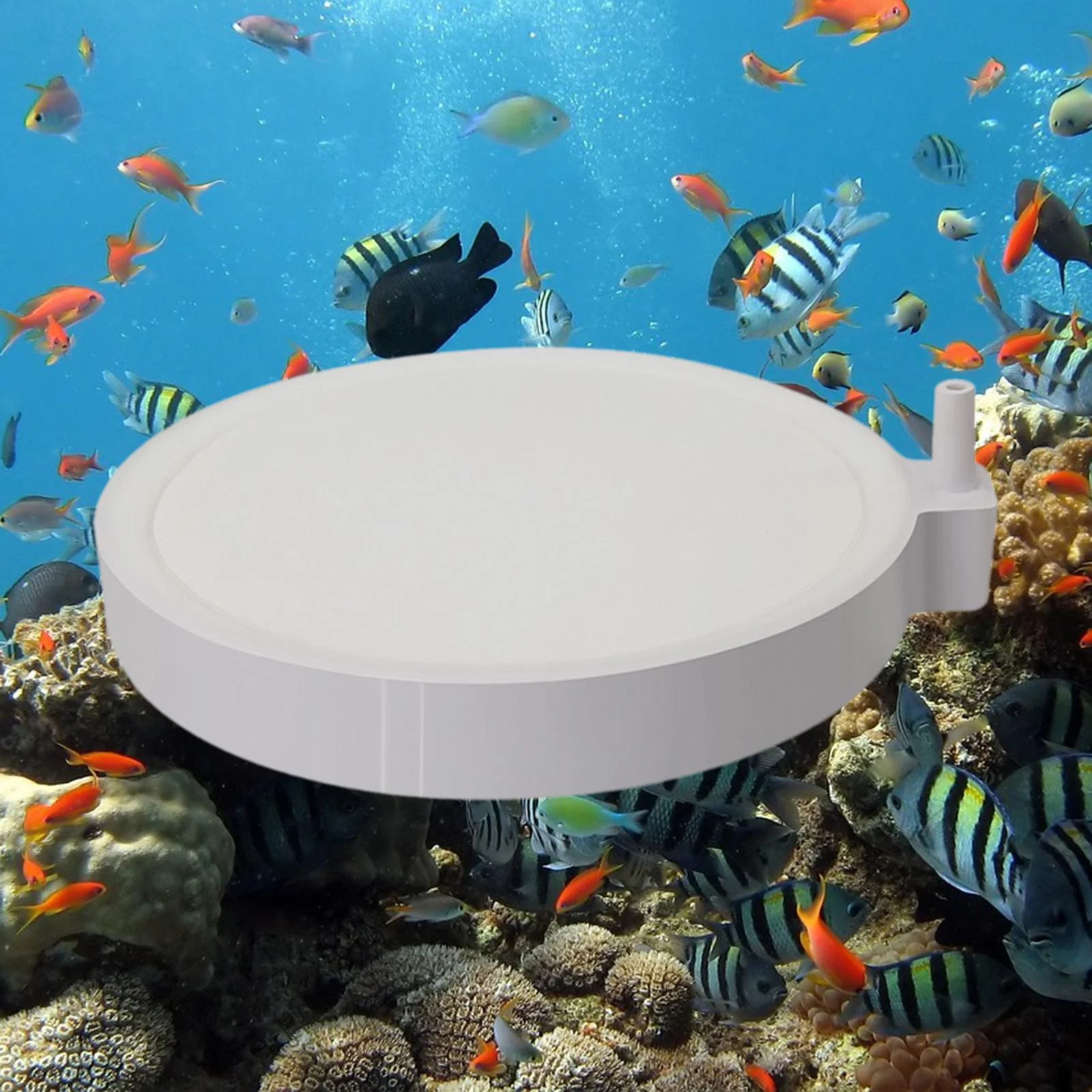 TOOYFUL Aquarium Air Stones Tank Oxygens Stone Multifunctional Quiet Dissolving Oxygens Tank Bubbler Pond Hydroponic 20cm