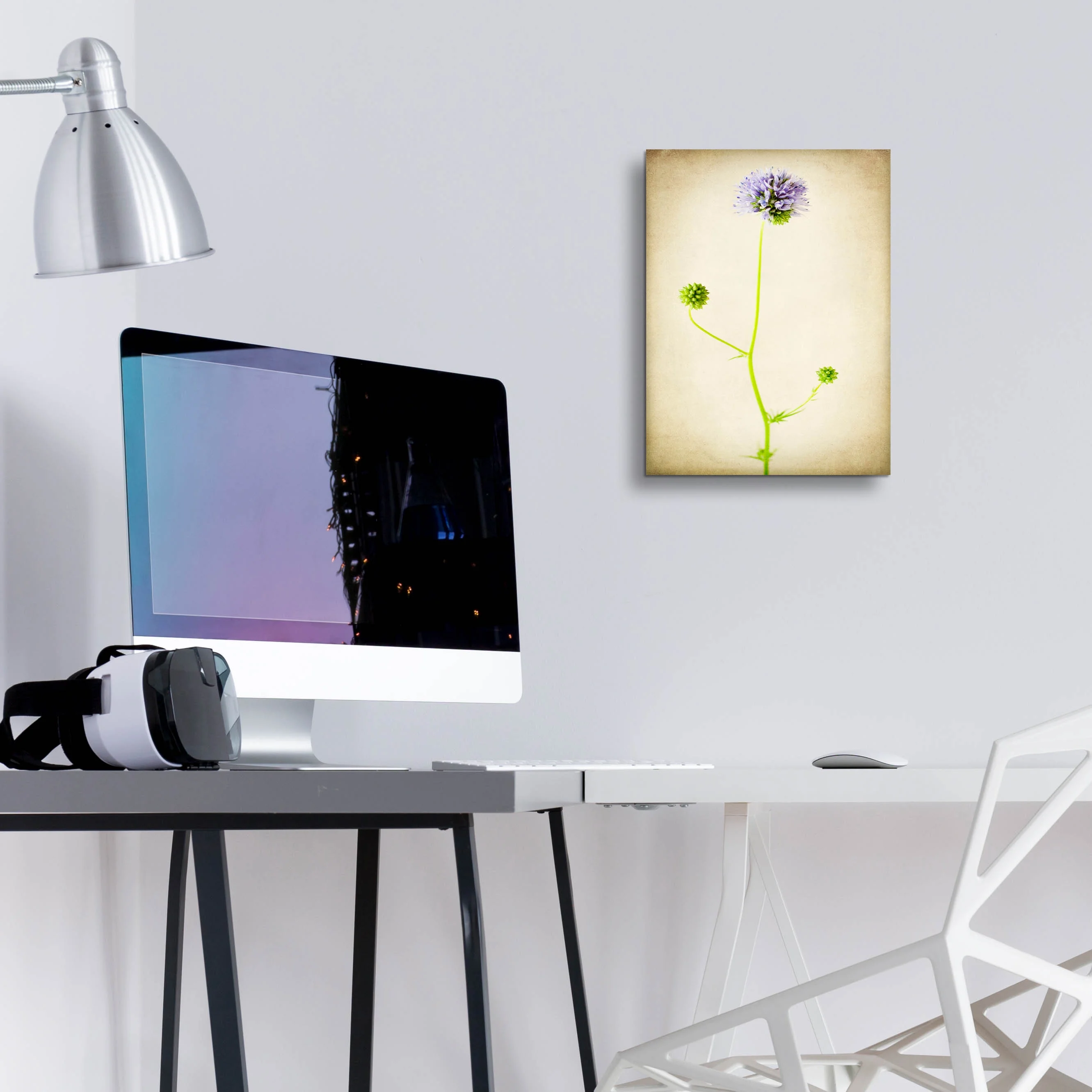 Epic Art 'Globe Gilia' by Jessica Rogers, Acrylic Glass Wall Art, 12