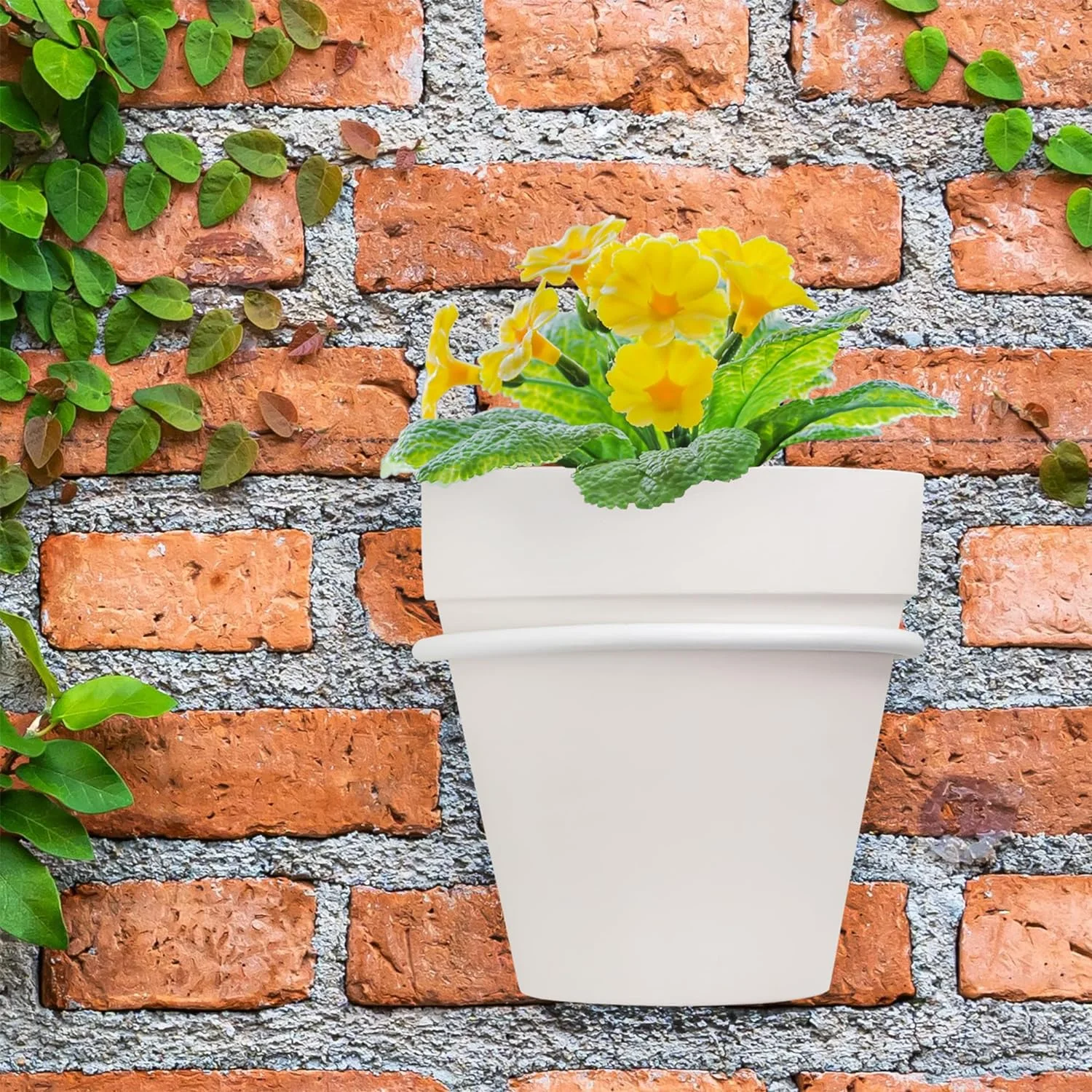 Metal Wall Ring Planters (4-Inch, White); Wall-Mounted Garden Holders