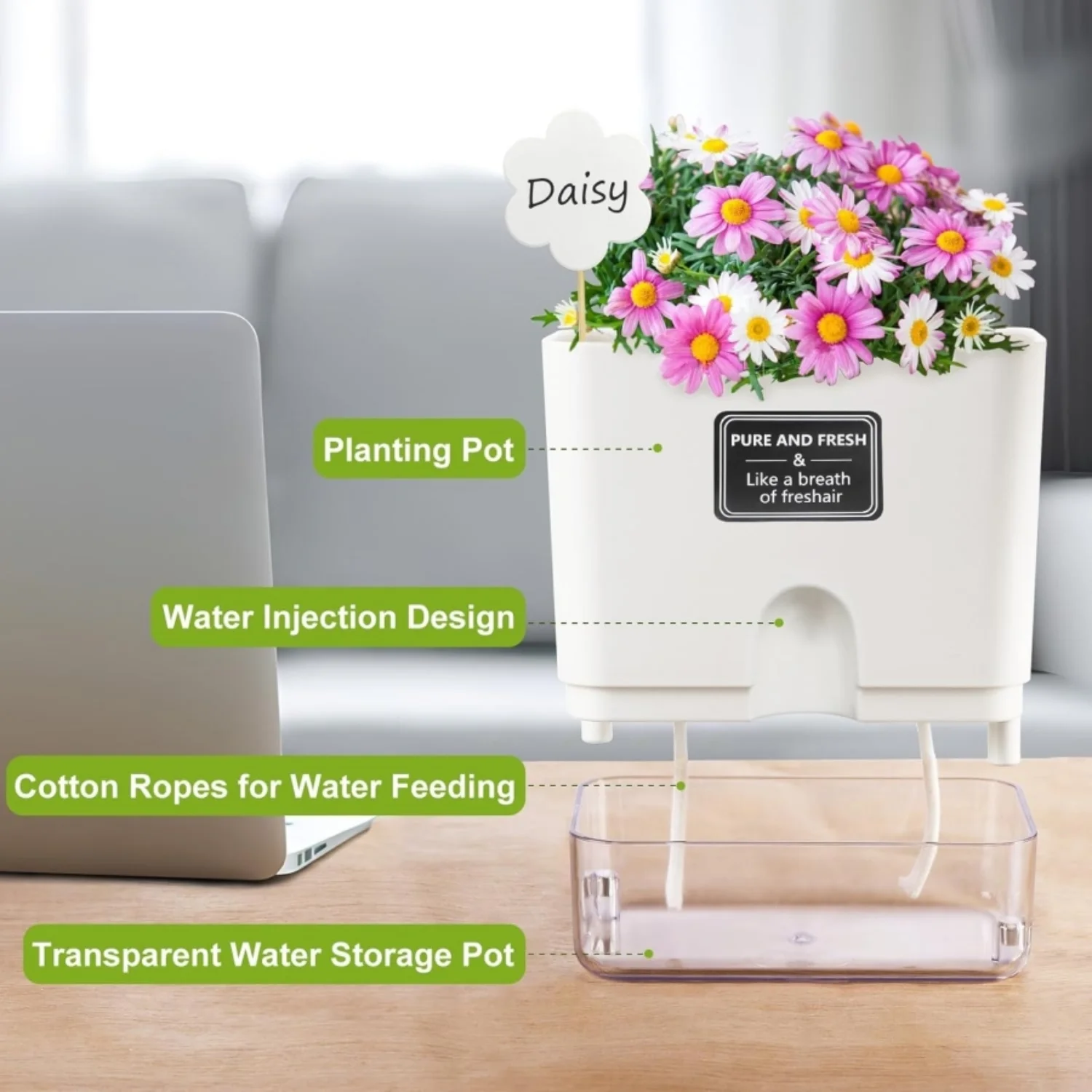 Automatic Moisturizing 2PCS Self Watering Planters for Indoor Plants - Windowsill Herb Planter Box for Succulents  Violets  and Ivy