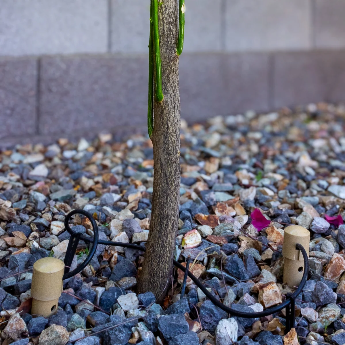 Green King Deep Drip Watering Stake Brown 14 In