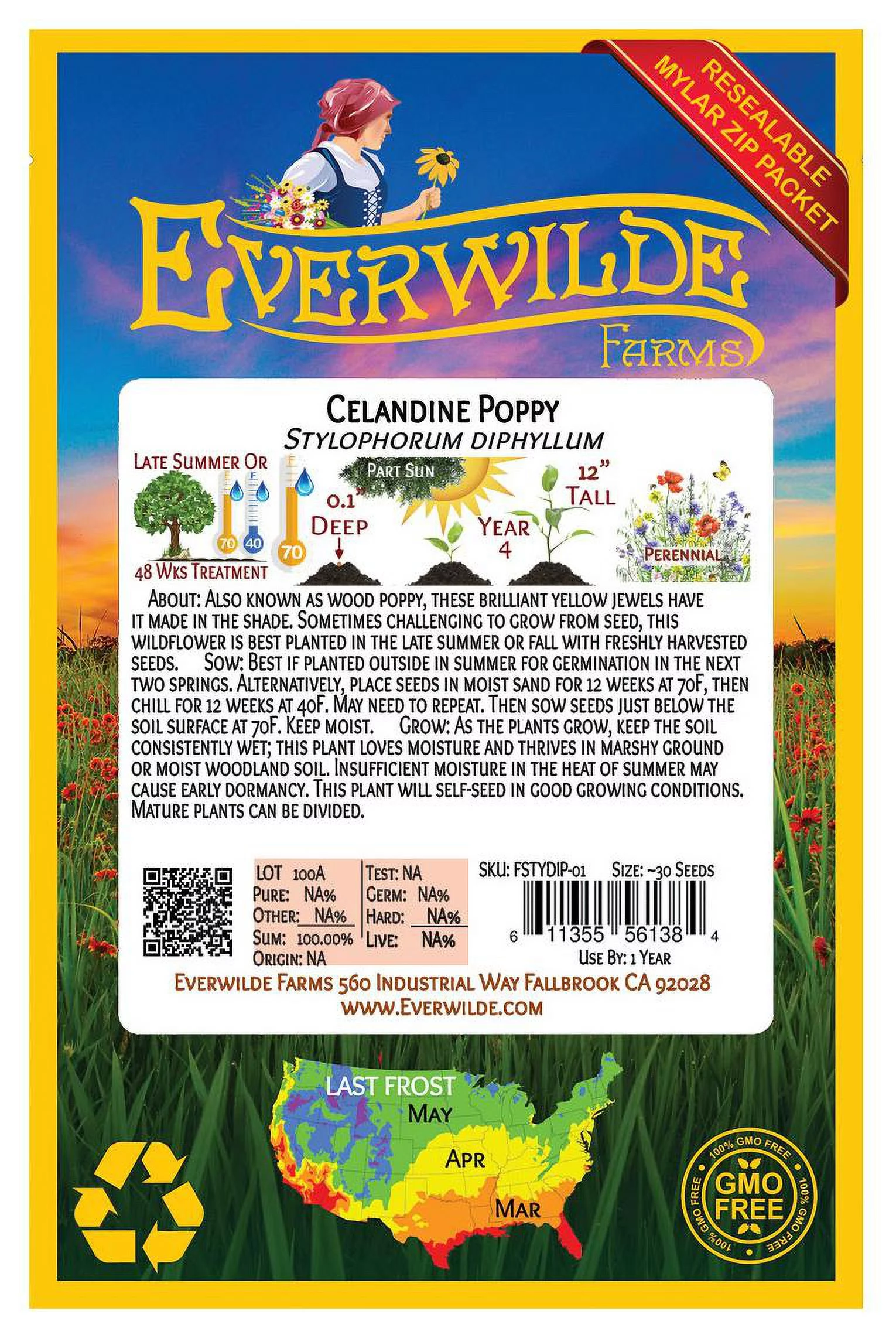 Everwilde Farms - 15 Celandine Poppy Native Wildflower Seeds - Gold Vault Jumbo Bulk Seed Packet