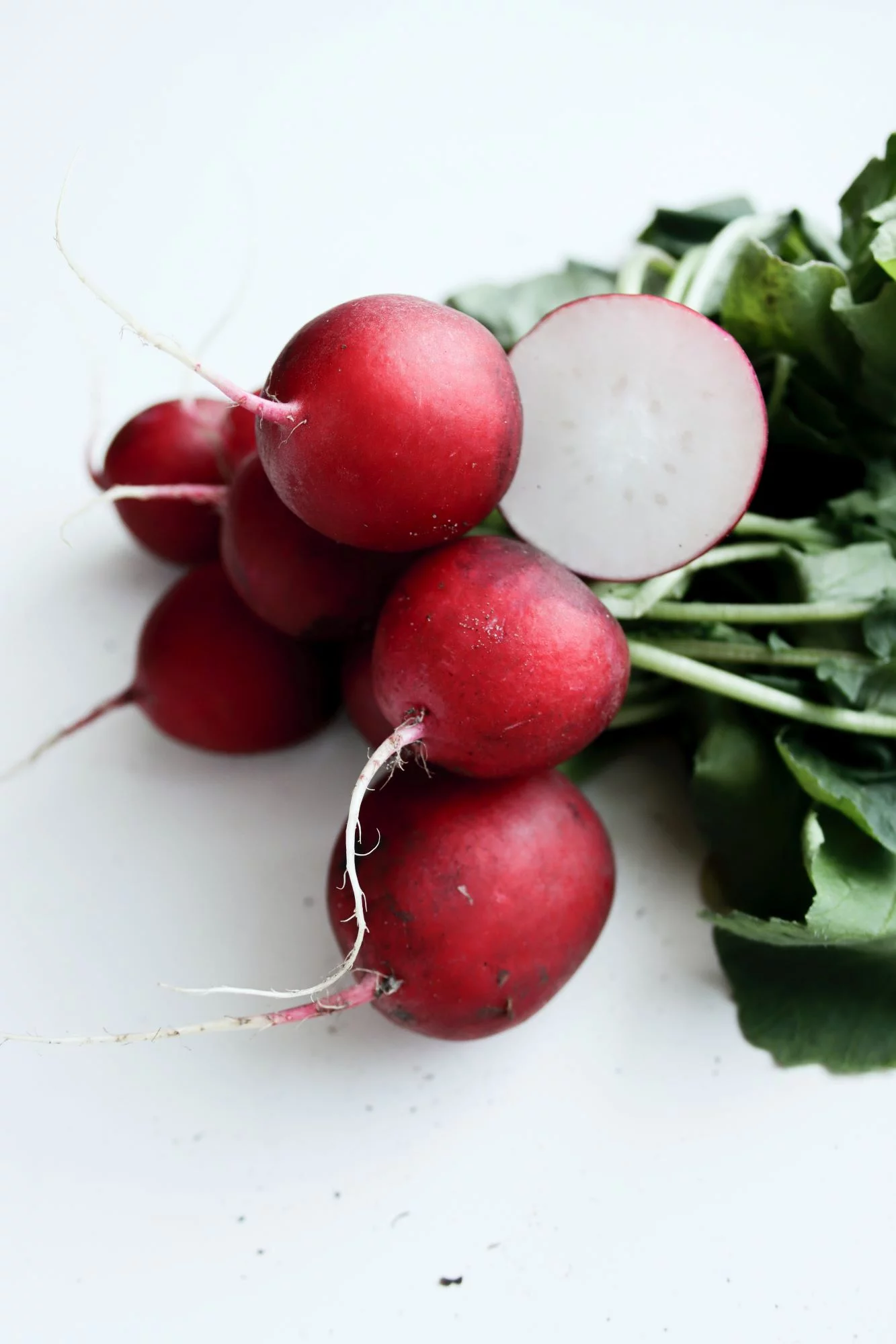 Early Scarlet Globe Radish Seeds/ Annual/ Full Sun/ 44K Seeds 1lb/ Zellajake Farm and Garden - B119