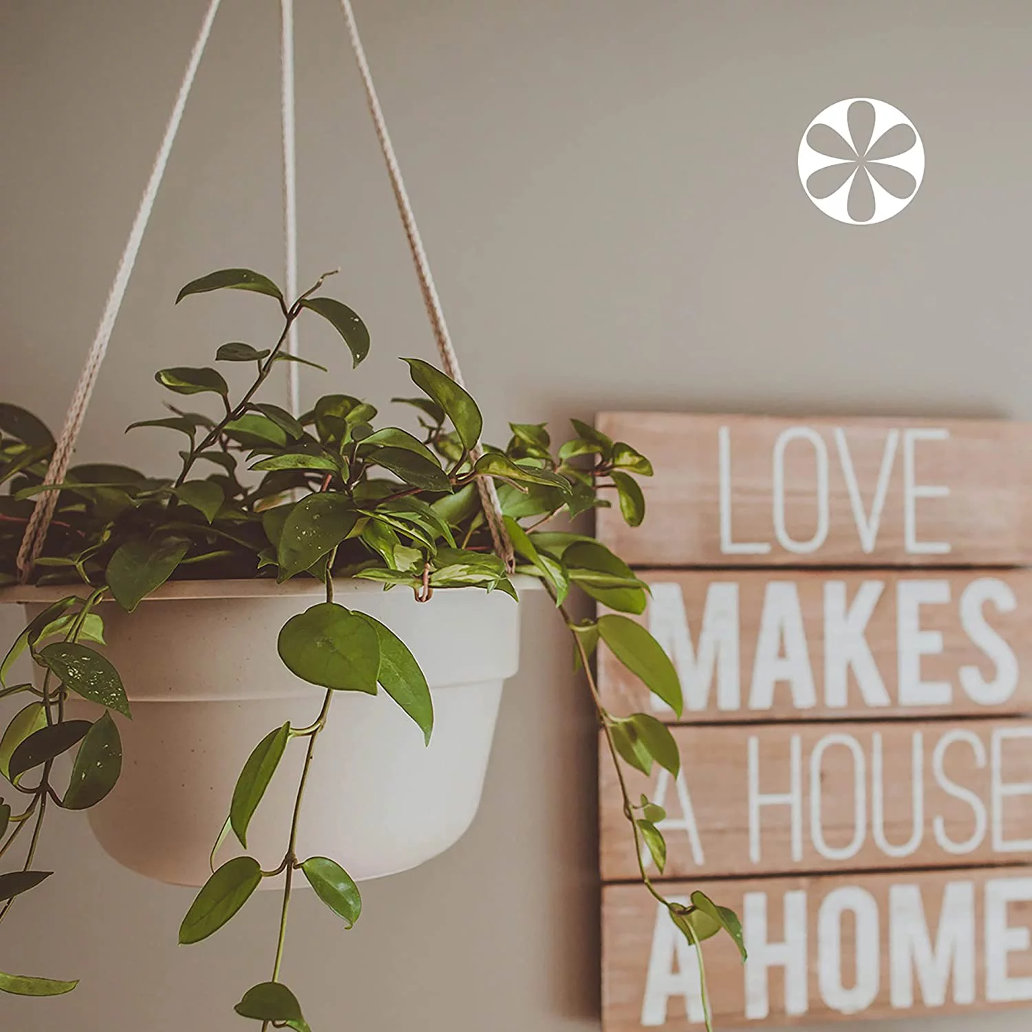 Dura Cotta Self Watering Hanging Basket Planter 12