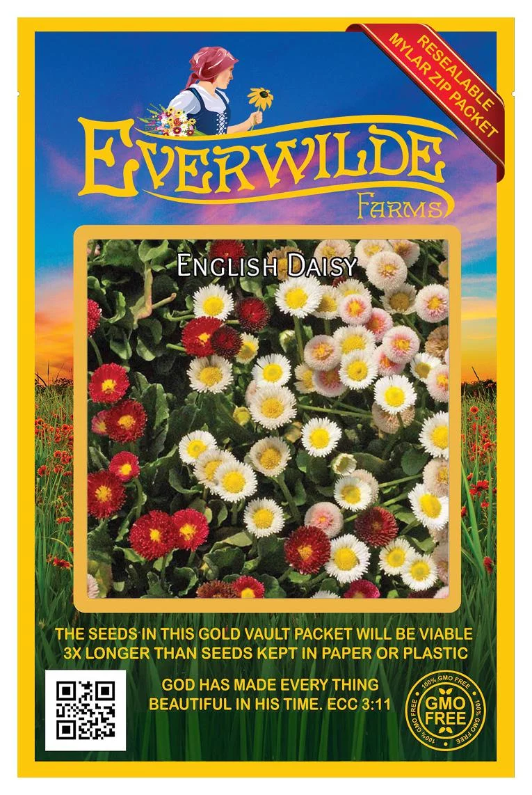Everwilde Farms - 2000 English Daisy Mixed Garden Flower Seeds - Gold Vault Jumbo Bulk Seed Packet