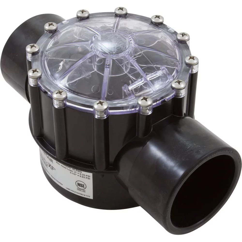 Pentair 263060 Check Valve Cpvc 2.5 in.