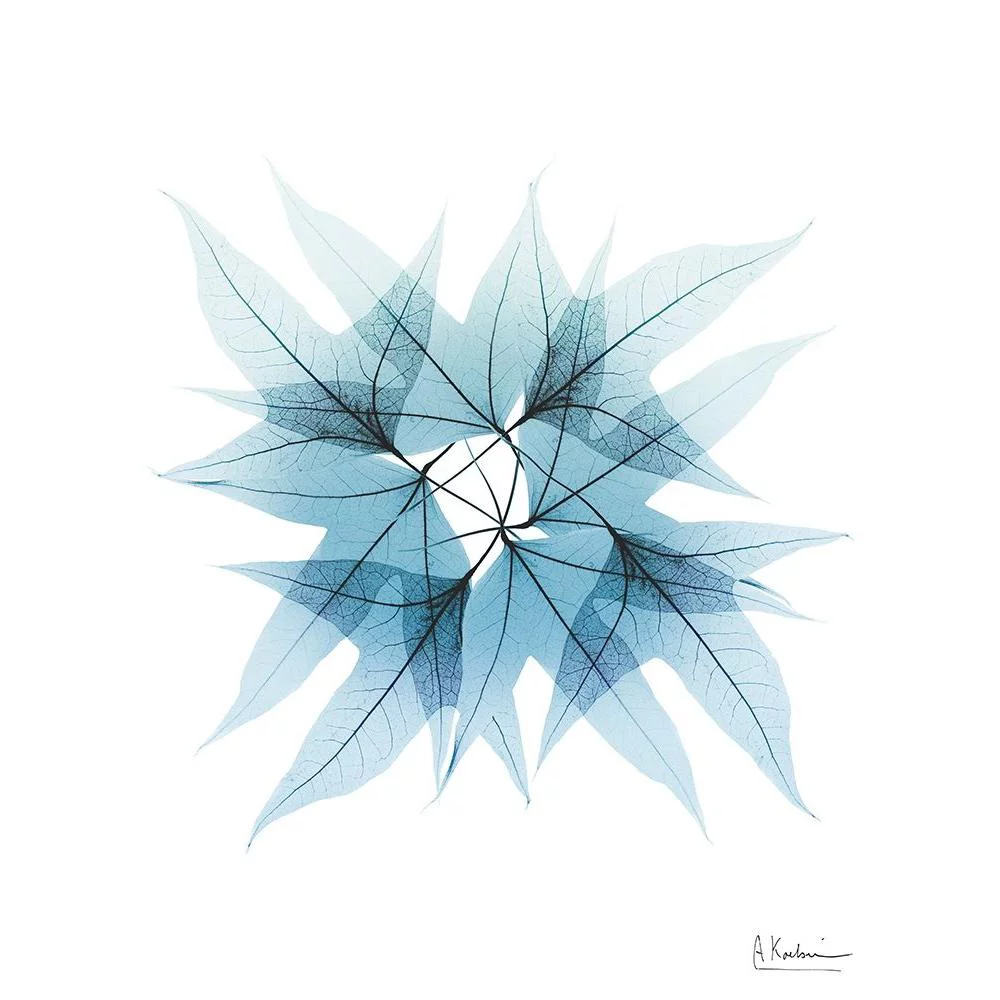 Koetsier, Albert 15x18 Black Modern Framed Museum Art Print Titled - Iced Trident Maple RC