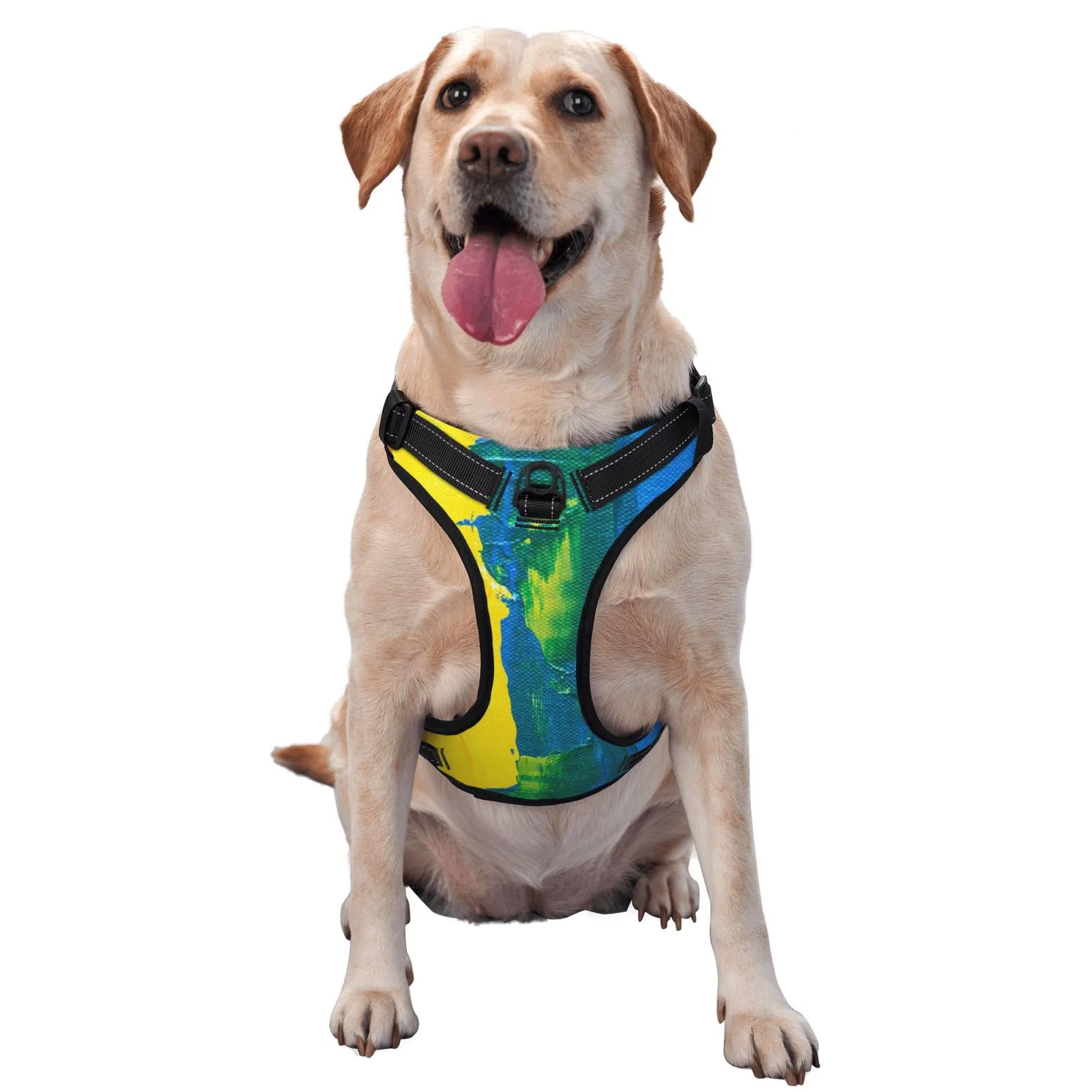 Coaee Rainbow Colored Dog Harness&Pet Leash Harness,Adjustable Dog Vest Harness For Training Hunting Walking,Outdoor Walking- Small