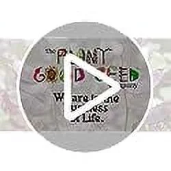 Anise Hyssop (Agastache foeniculum) Seeds - Pack of 50, Non-GMO, Open Pollinated, Untreated Flower Seeds for Planting – from USA