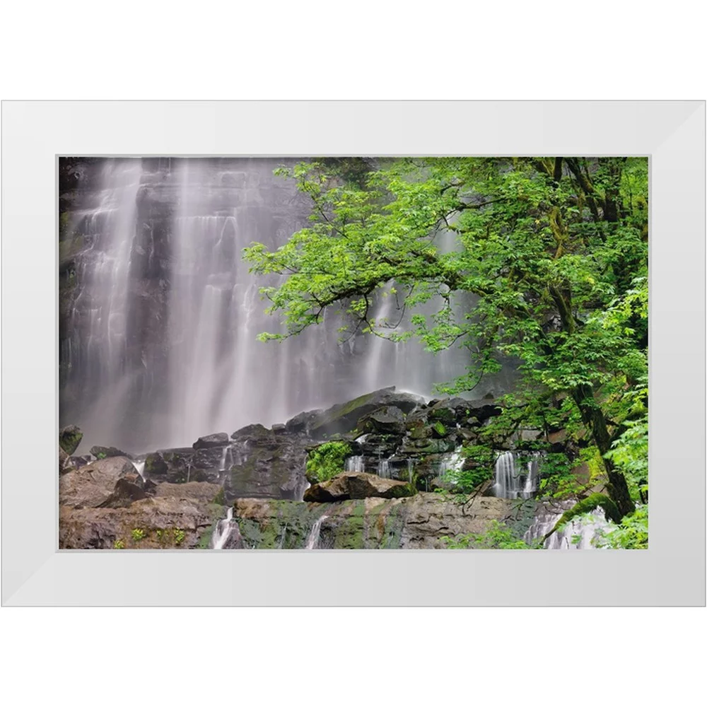 Jones, Adam 14x11 White Modern Wood Framed Museum Art Print Titled - Silver Falls-Golden and Silver Falls State Natural Area-Oregon