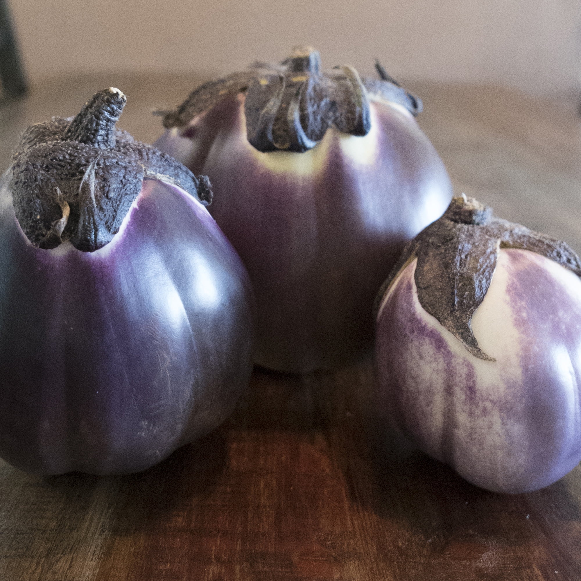 Prosperosa F1 Hybrid Eggplant Seeds - 2 g Packet ~460 Seeds - Non-GMO, F1 Hybrid - Vegetable Garden - Solanum melongena