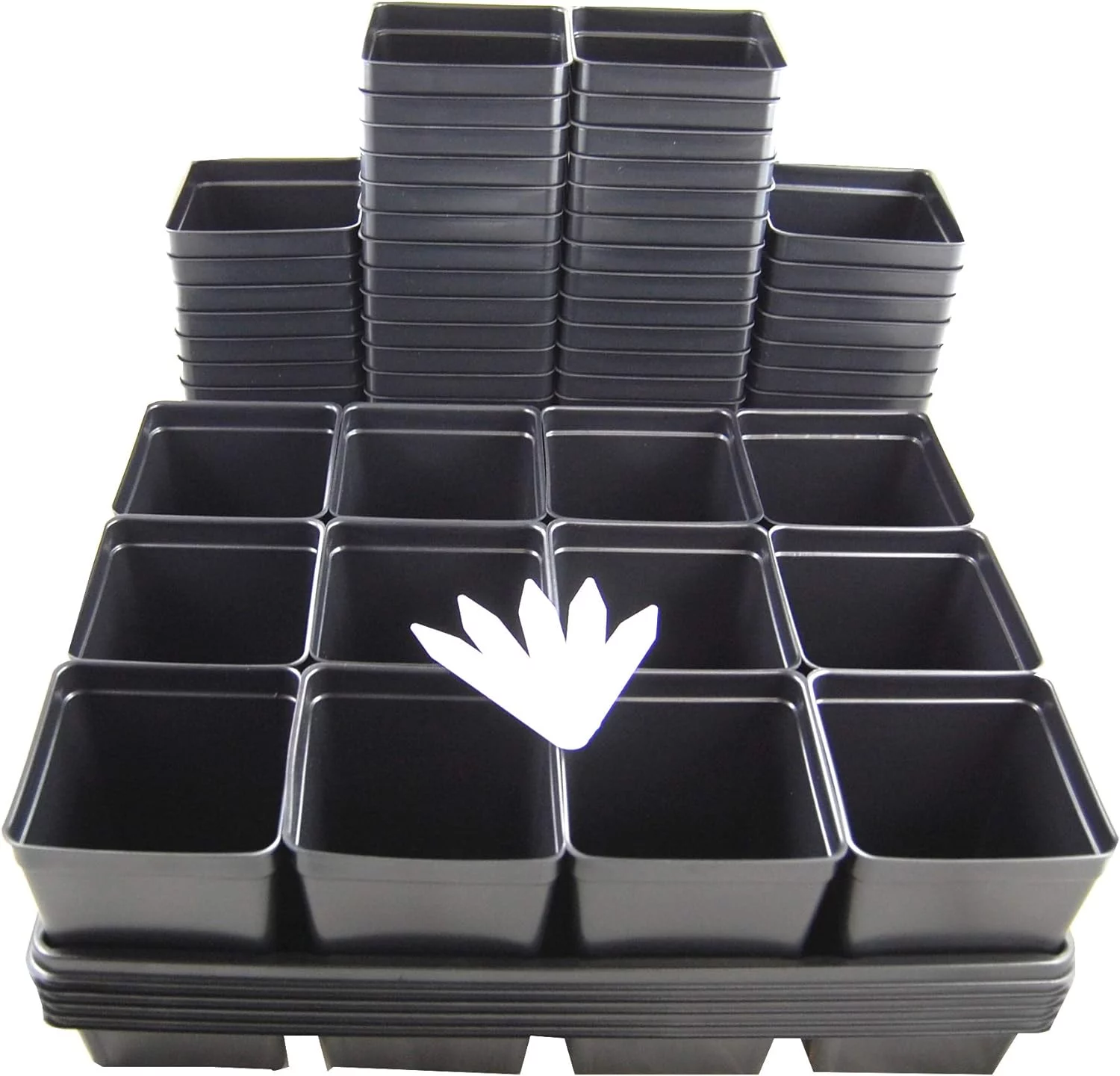60 Pots, 5 Trays, 5 Plant Labels - Great For Vegetables/Flowers/Herbs- By Growers Seed Starting