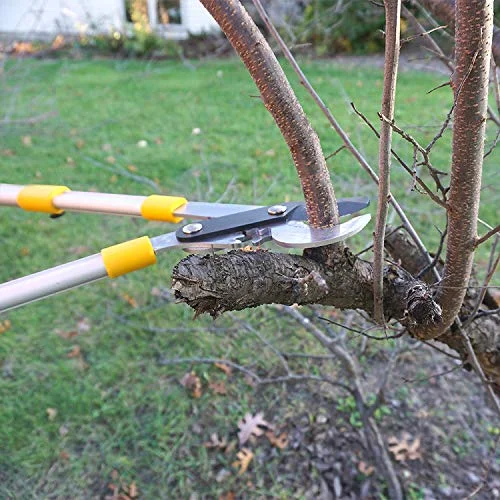 76  Duty Bypass Lopper 1¾-Inch Cut Capacity With Telescoping Aluminum Alloy Handle (Extend To 33 Inch)