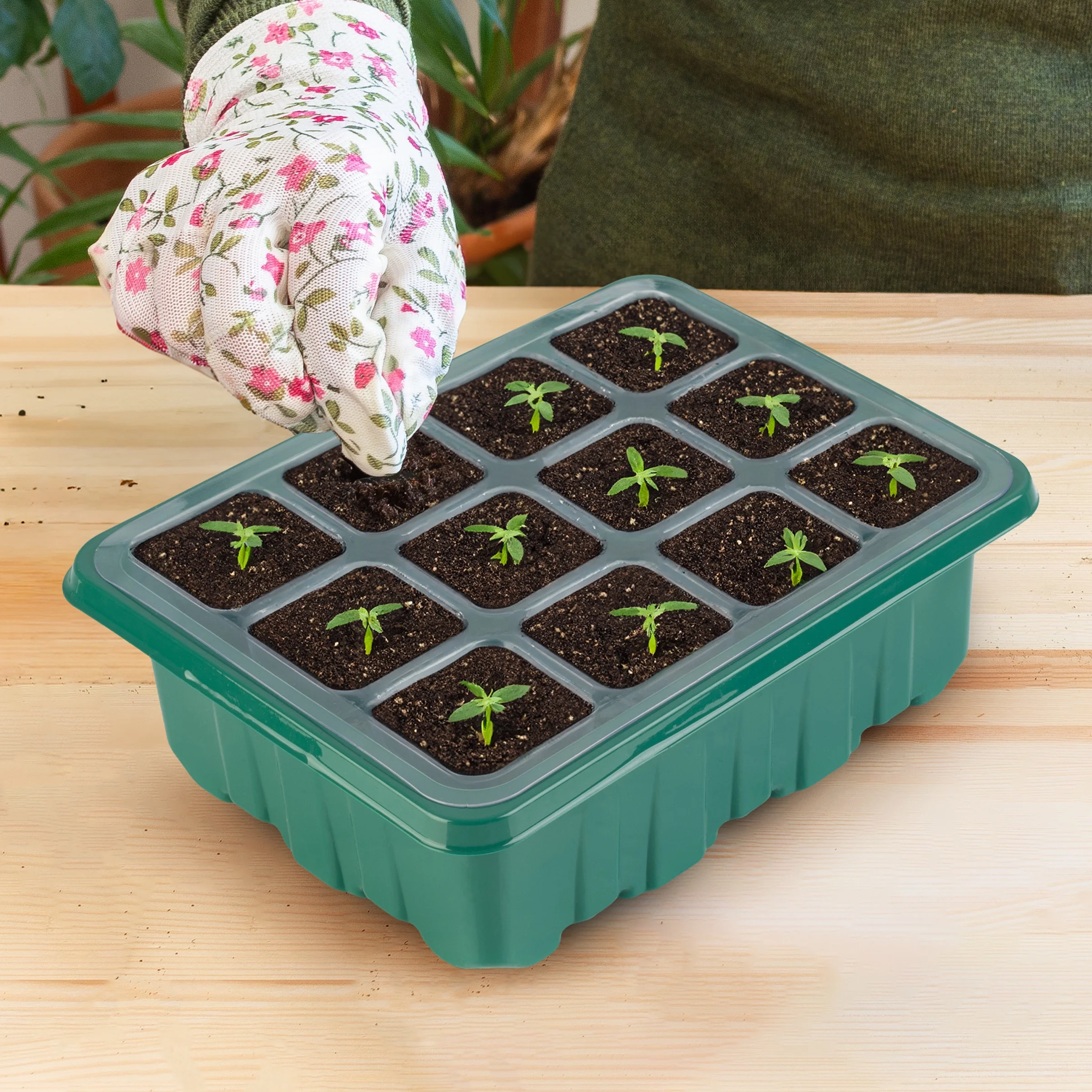 Home-Complete Seed Starter Tray 10-Pack - Plant Trays with Humidity Domes