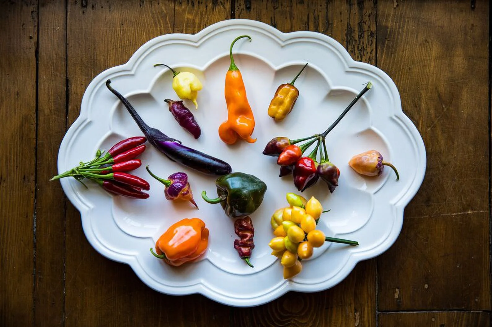 Pingtung Eggplant Purple Asian Long Premium Seed Packet