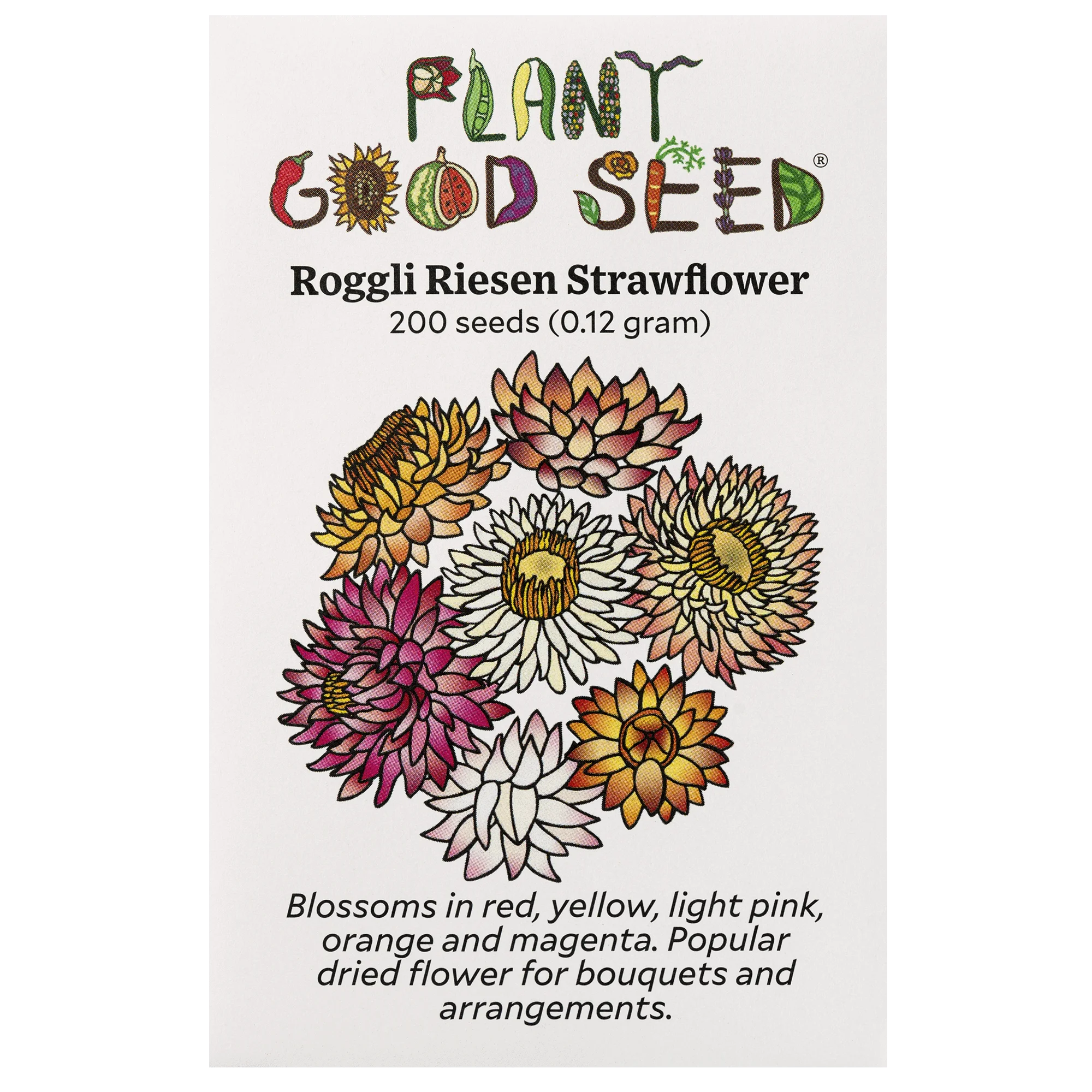 Plant Good Seed Roggli Riesen Strawflower Seeds: Full Sun Hot Weather Heirloom Grow Dried Flowers