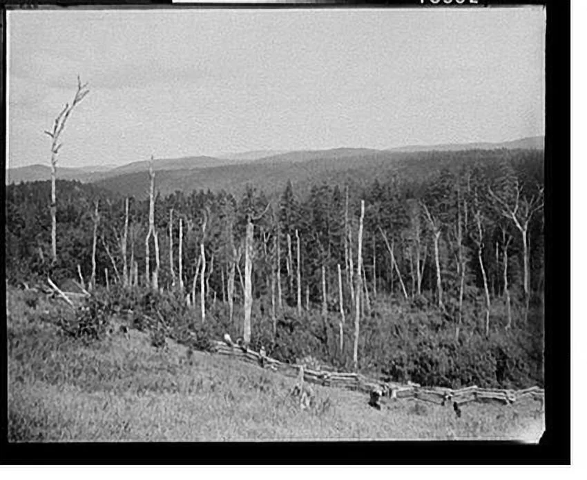 Historic Framed Print, Pine region from Eggleston's, West Virginia, 17-7/8