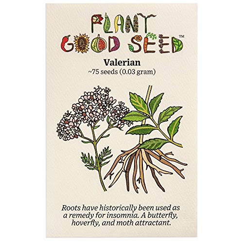 Valerian (Valeriana officinalis) Seeds - Pack of 75, Certified Organic, Non-GMO, Open Pollinated, Untreated Herb Seeds for Planting – from USA
