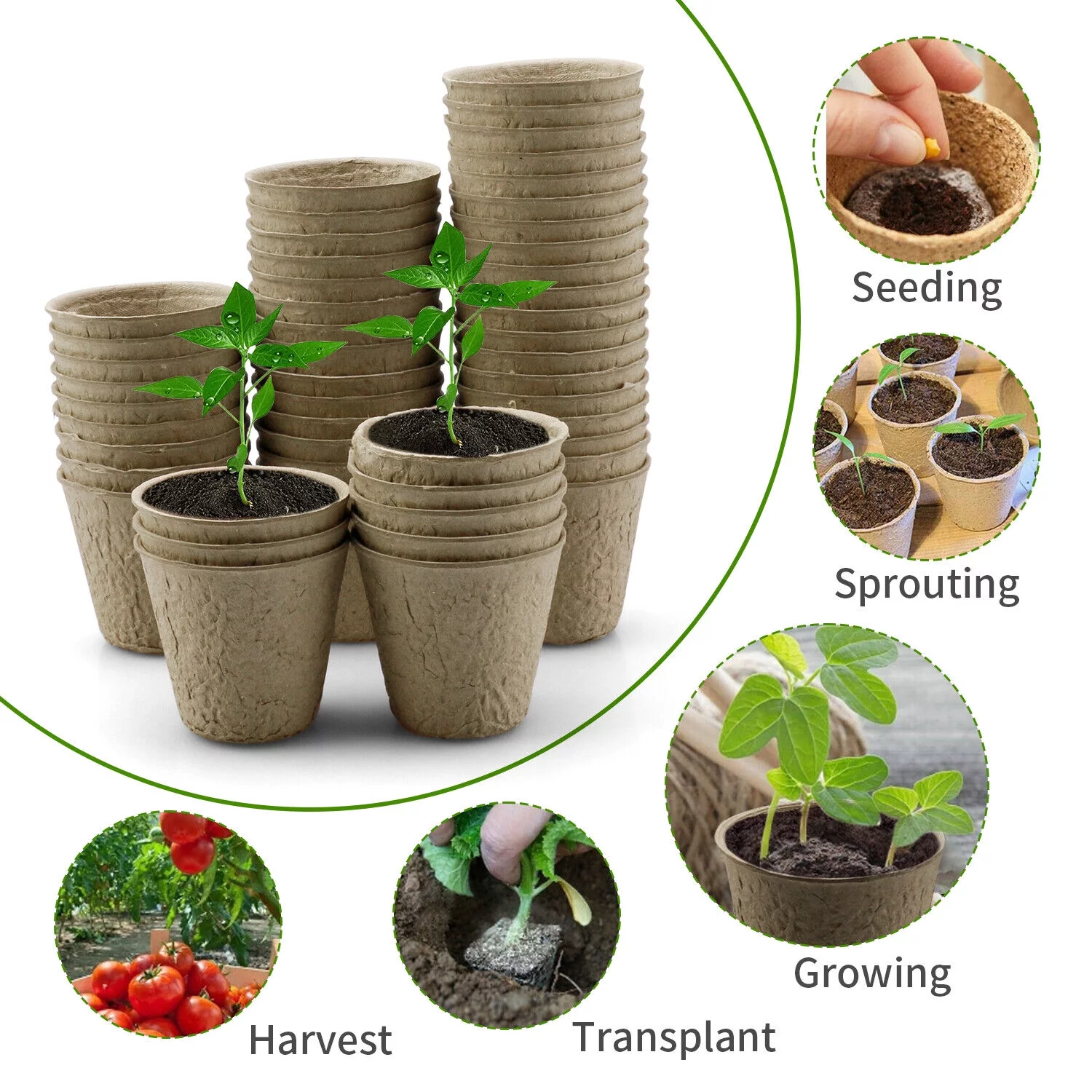 50-100PCS Biodegradable Nursery Pots Garden Plant Grow Seedling Planting Pots US