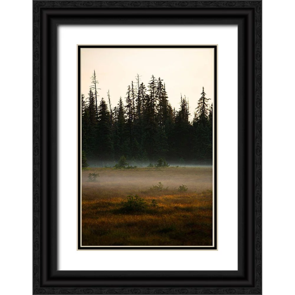 Sienda, Jolly 17x24 Black Ornate Wood Framed with Double Matting Museum Art Print Titled - Homer-Alaska-miniature-black spruce-autumn colored field