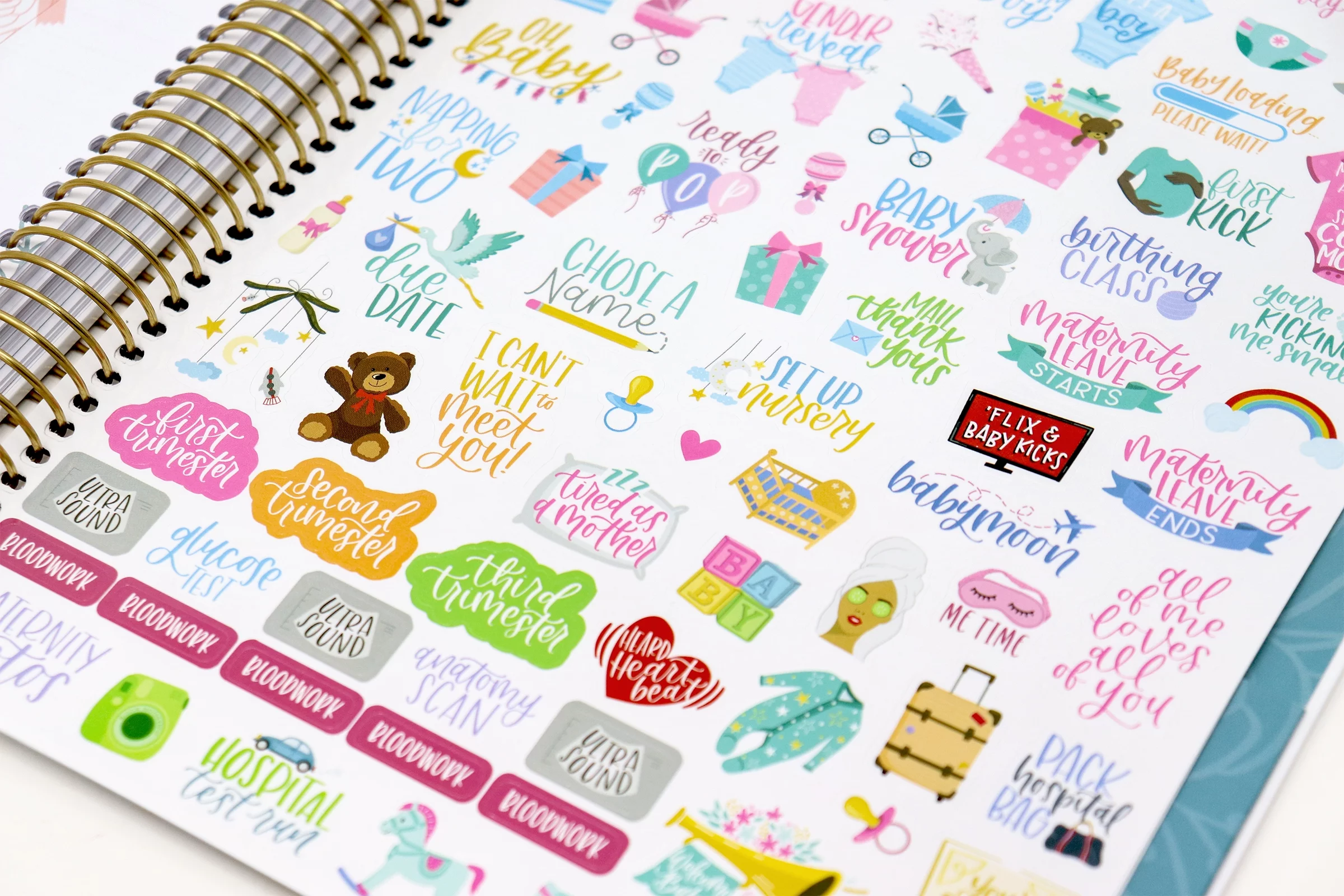 bloom daily planners Pregnancy & Baby's First Year Planner & Calendar, 9