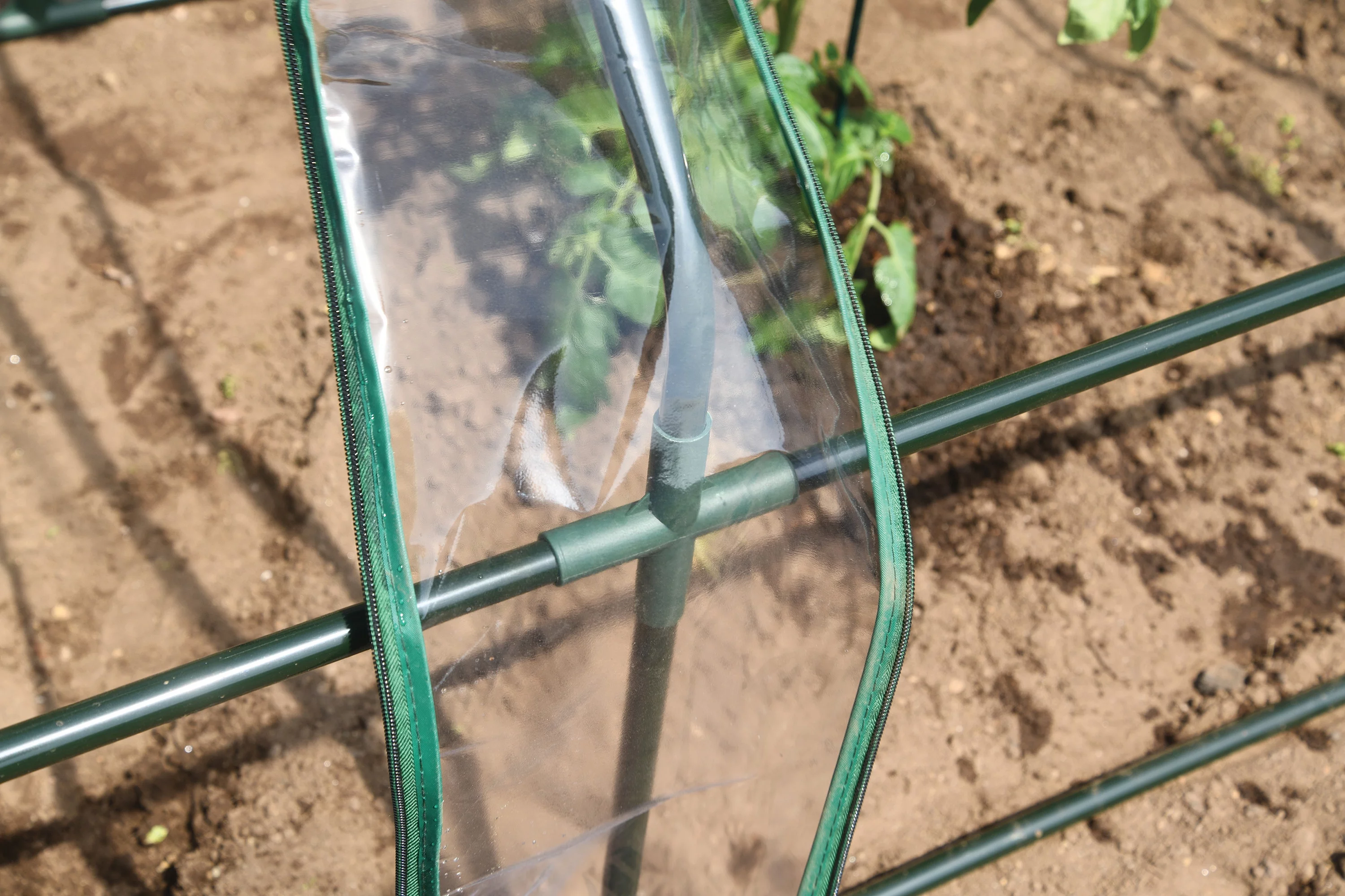 Grow It Small Greenhouse 3 X 8 X 3 Ft