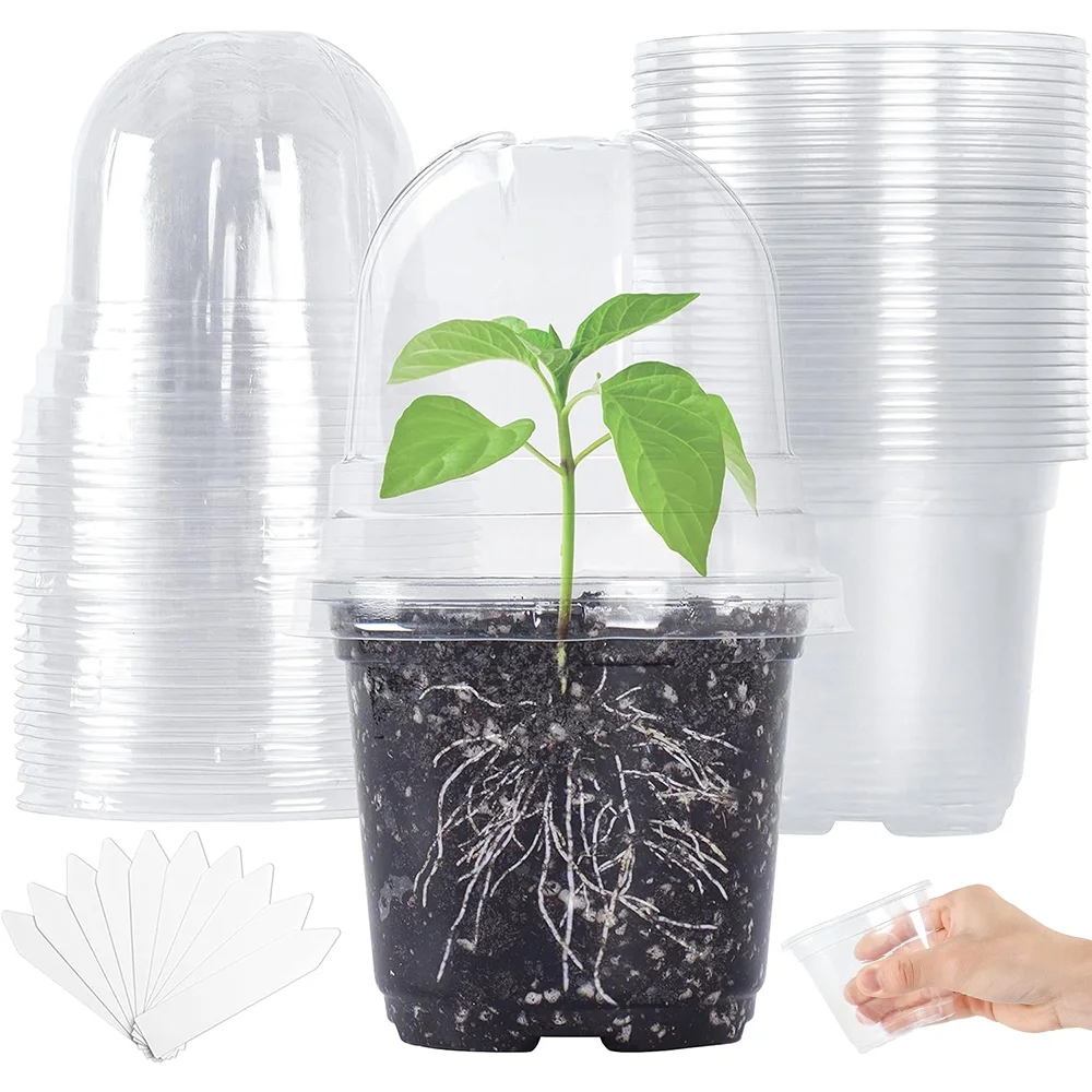 KISPATTI Clear Nursery Pots with Humidity Dome 10 Sets 4