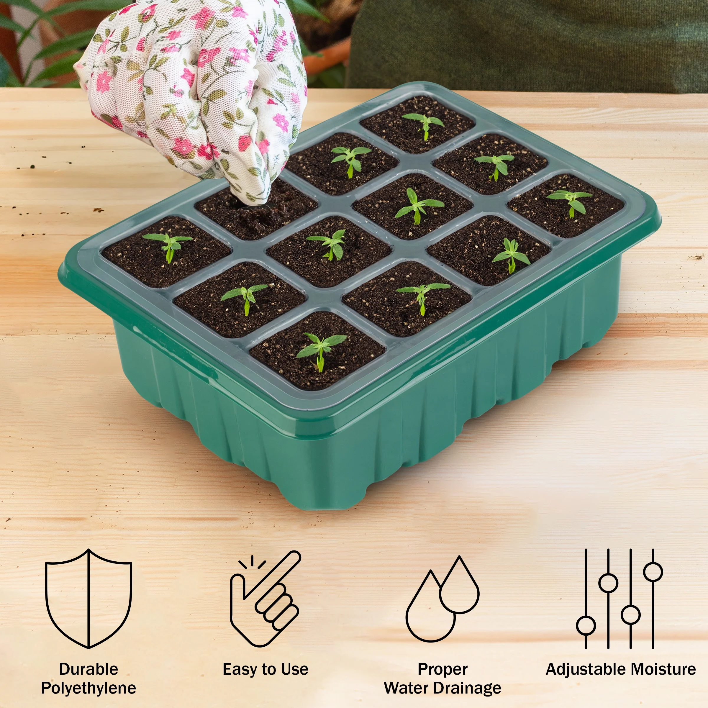 Home-Complete Seed Starter Tray 10-Pack - Plant Trays with Humidity Domes