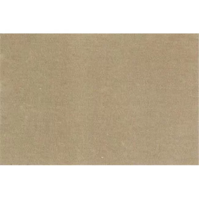 American Silk 76712 56 in. Giorgio Velvet Fabric Cloth, Sycamore