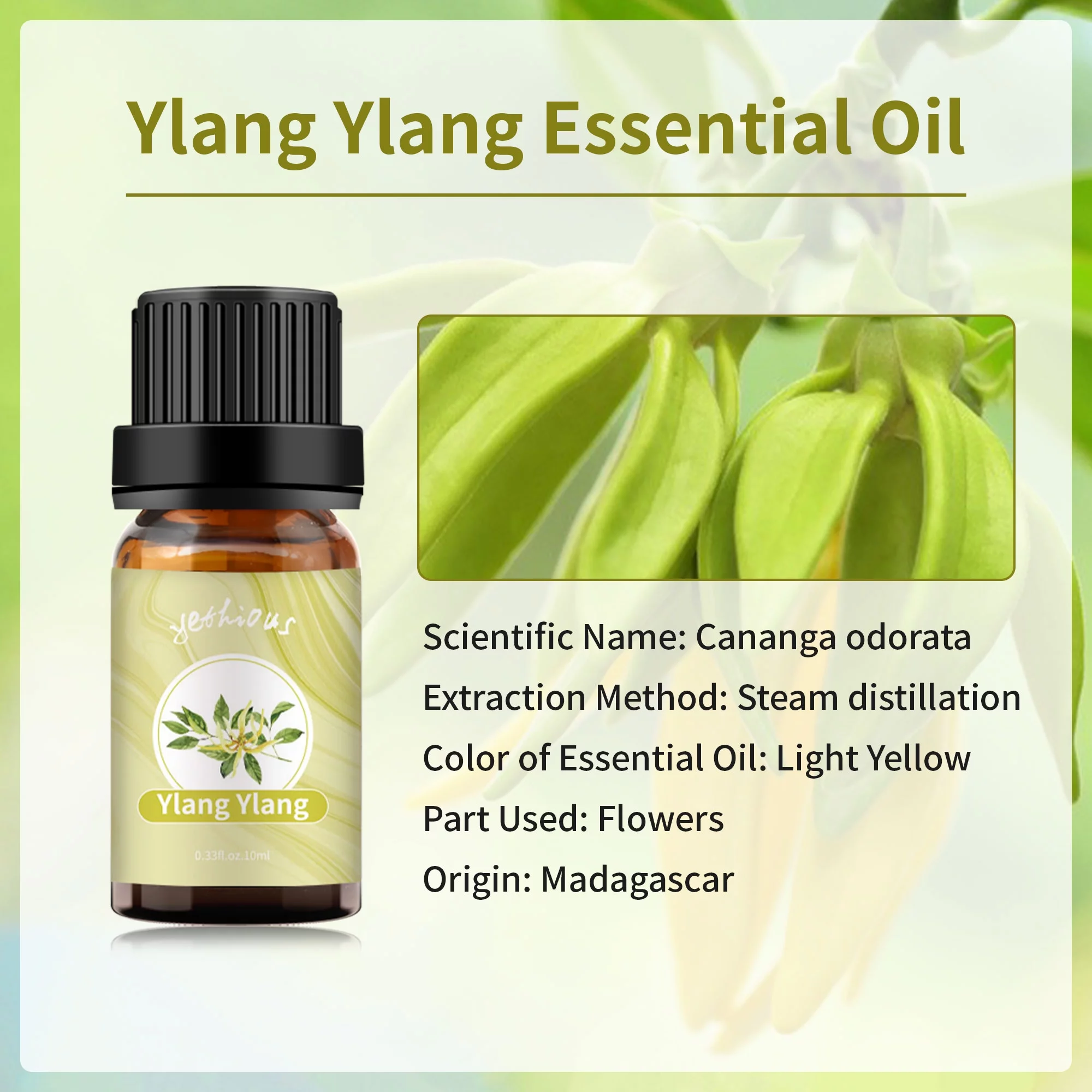 Yethious Ylang Ylang Essential Oil 100% Pure, Undiluted, Natural, Organic Aromatherapy 10ml