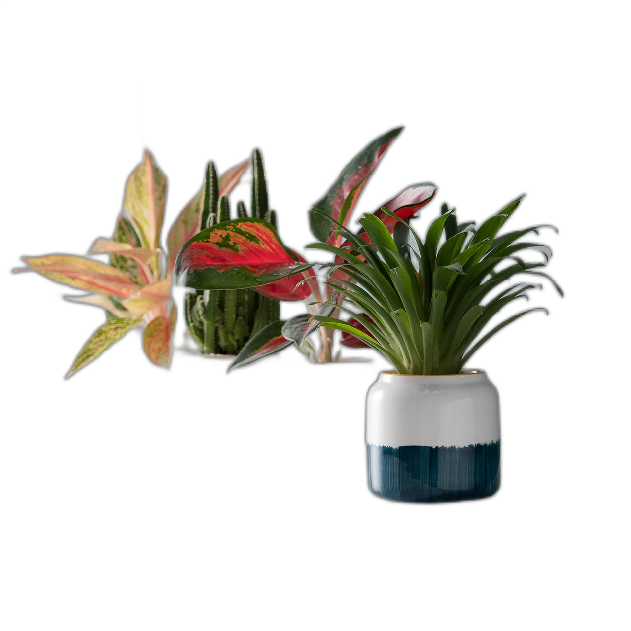 Creative Round Abstract Art Hand-Painted Decorative Indoor Succulent Greenery Planter Ceramic