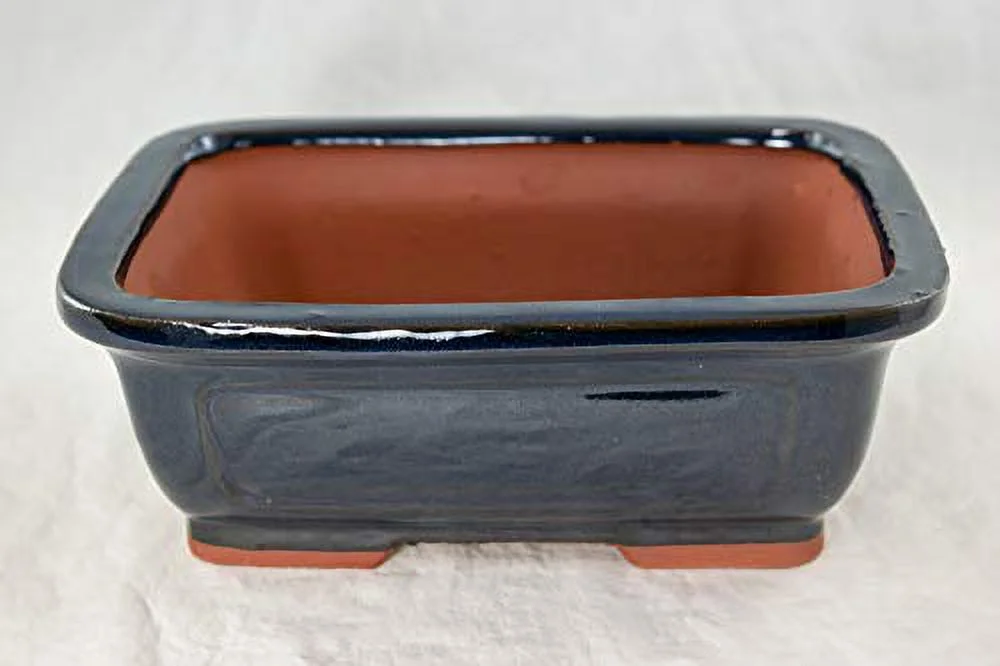 2 x Amazing Glazed Bonsai/Cactus & Succulent Pot + Tray + Rock + Mesh Combo