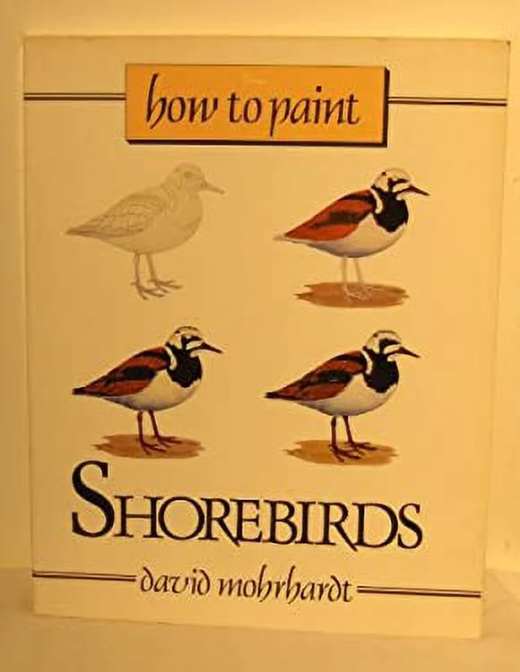 How to Paint Shorebirds : A Guide to Materials, Tools, and Technique 9780811722285 Used / Pre-owned