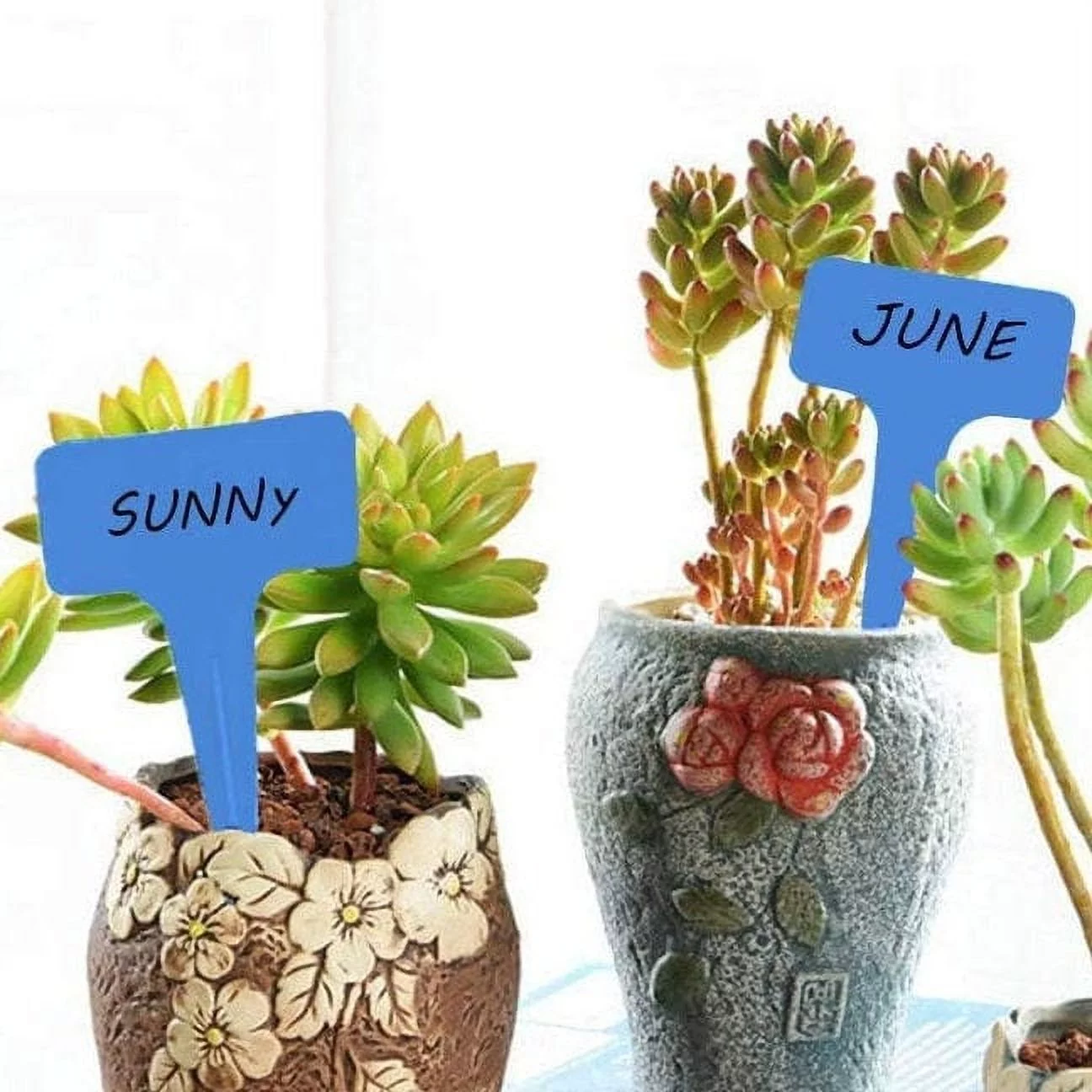 TomorrowSeeds - Blue T-Shaped Plant Labels - 10 Labels - Garden Stake Plastic Row Marker Pot Seed Label Food Safe Party Waterproof 2024 Season