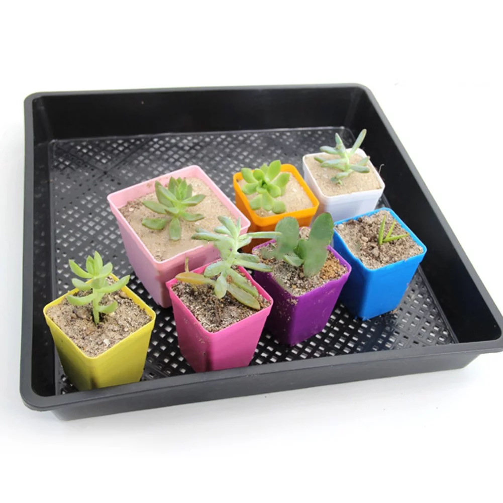 10 Pcs Succulent Small Square Flower Pot Plastic Frosted Square Pot Garden Tools