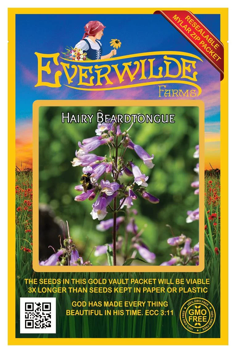 Everwilde Farms - 1250 Hairy Beardtongue Native Wildflower Seeds - Gold Vault Jumbo Bulk Seed Packet